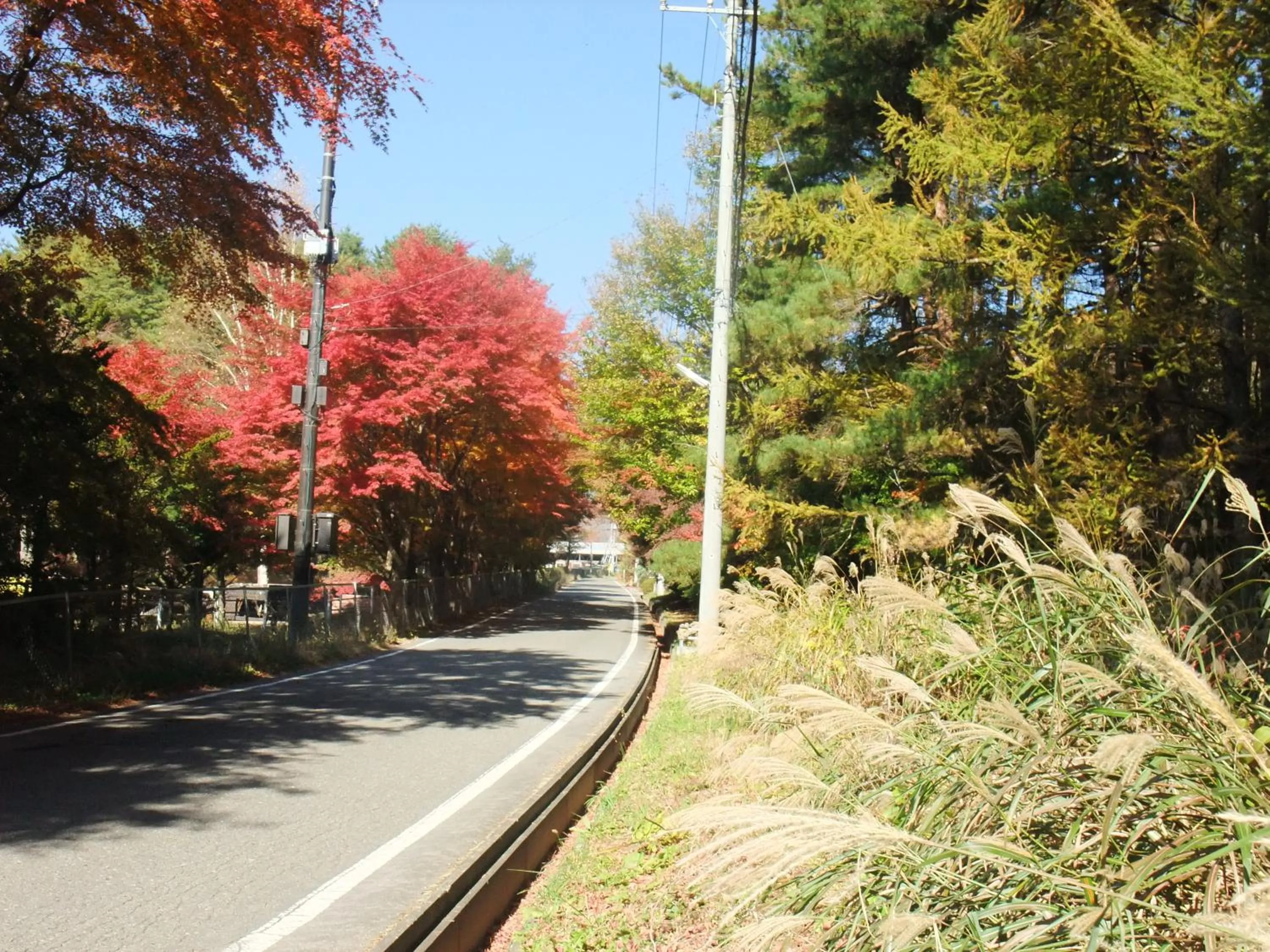 Natural landscape in Gasthof Ascot