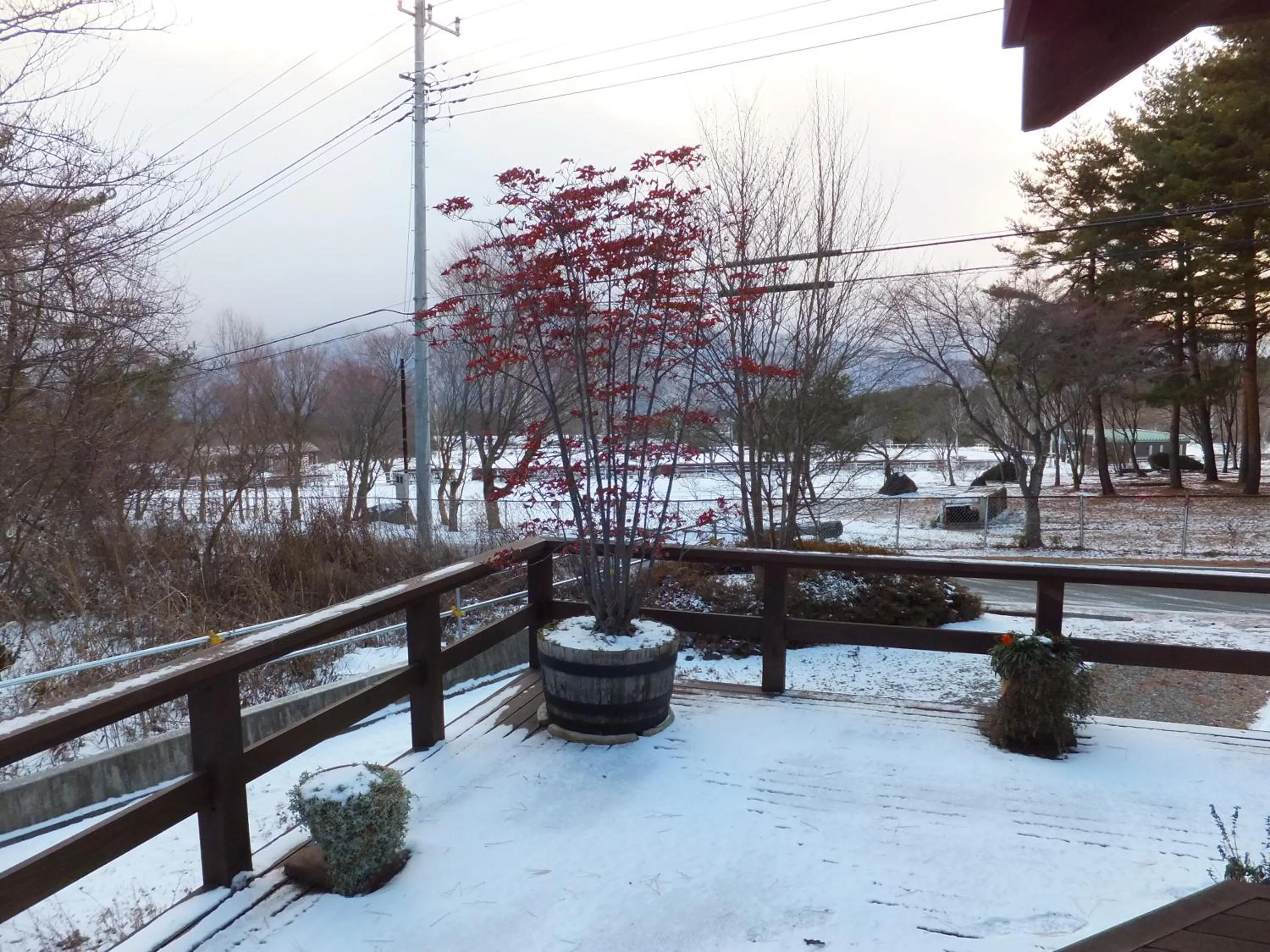 Winter in Gasthof Ascot