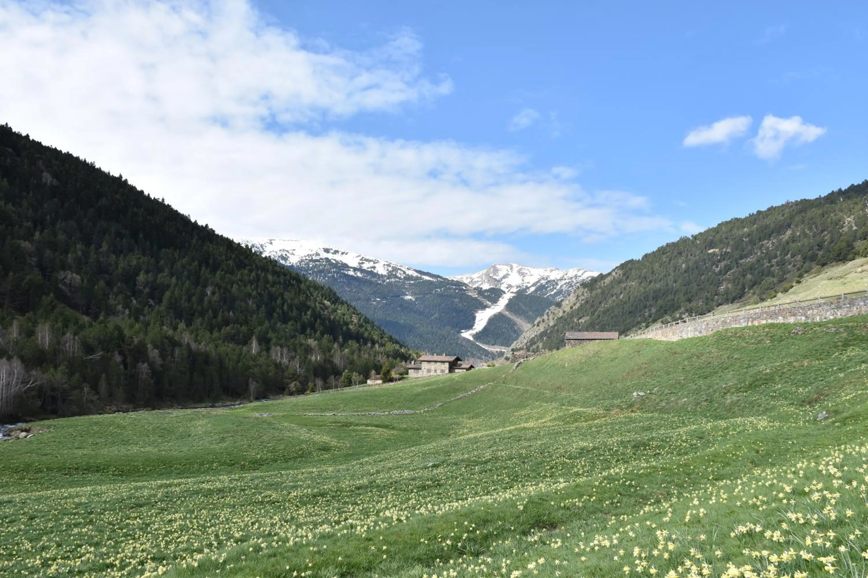 Spring in Wuau! Hotel Galanthus & Spa