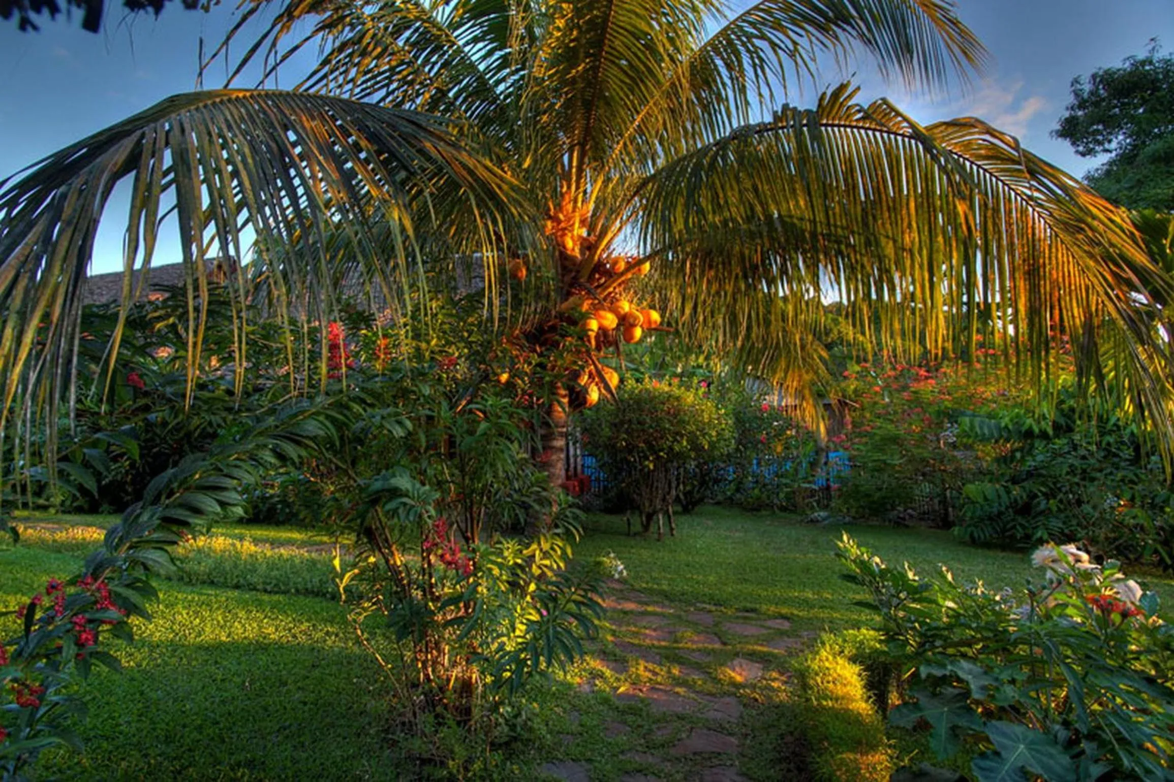 Garden view in Clair de Lune