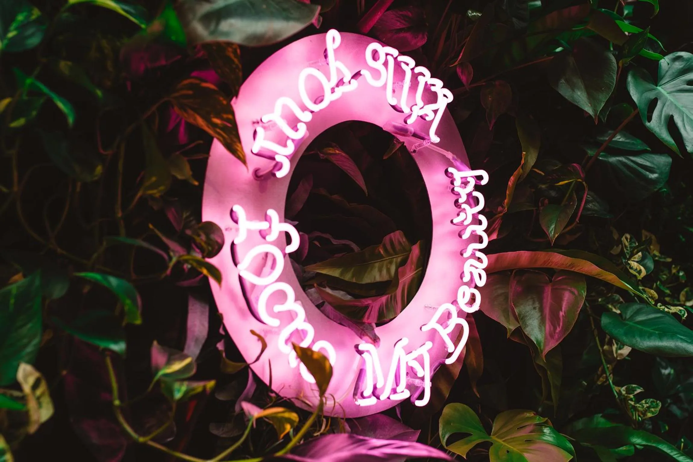 Property logo or sign in The Dutch Maastricht