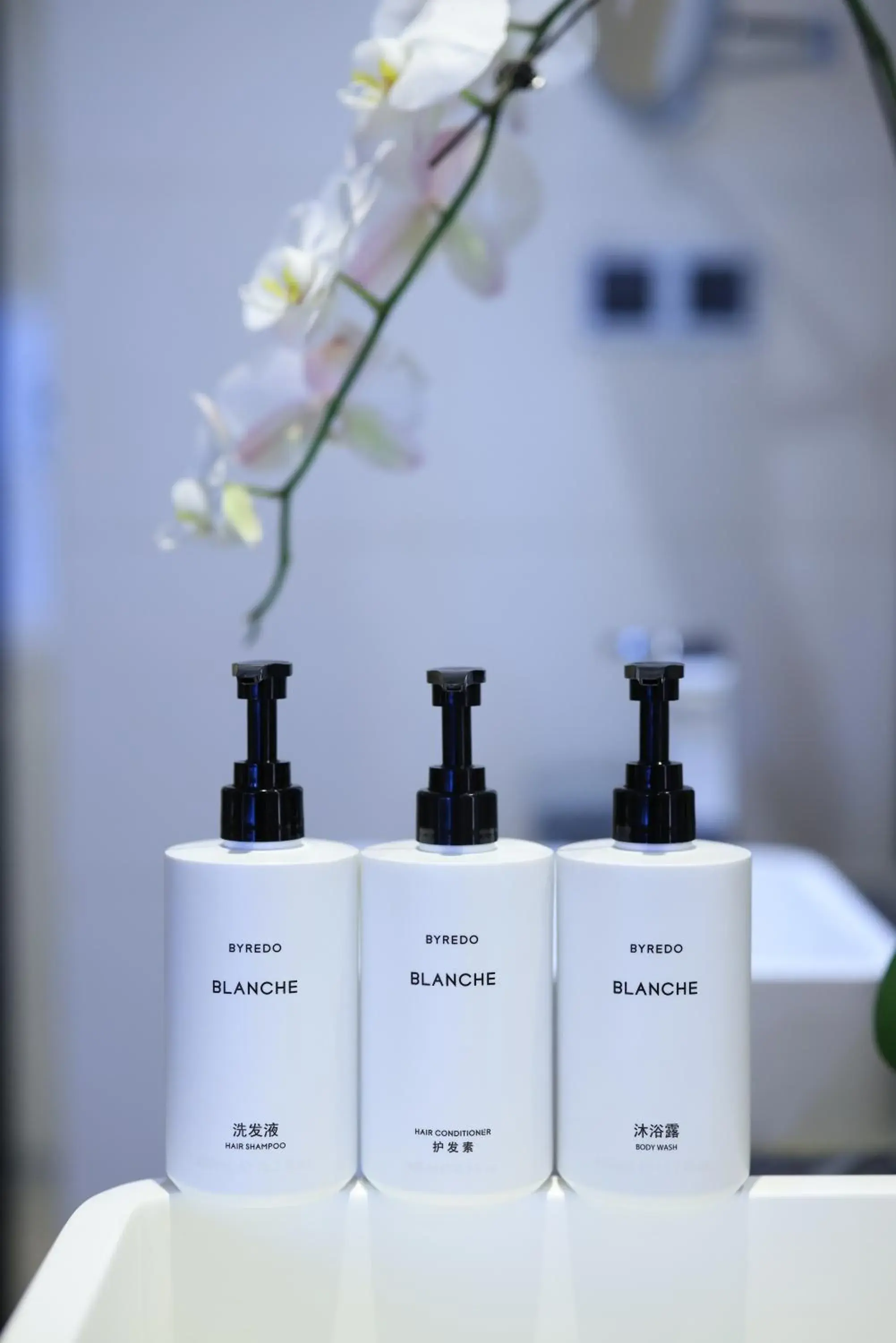 Intercontinental Club Twin Room - Non-Smoking in InterContinental Beijing Sanlitun by IHG Intercontinental Club Twin Room - Non-Smoking in InterContinental Beijing Sanlitun by IHG