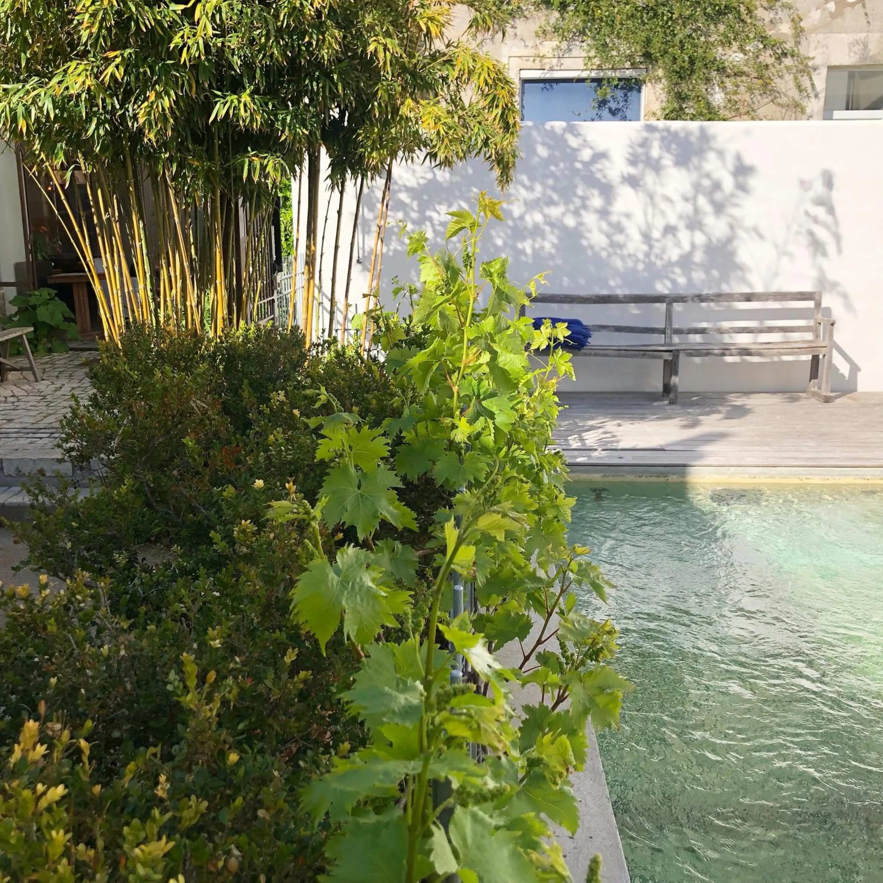 Pool view in Hôtel Le Sénéchal