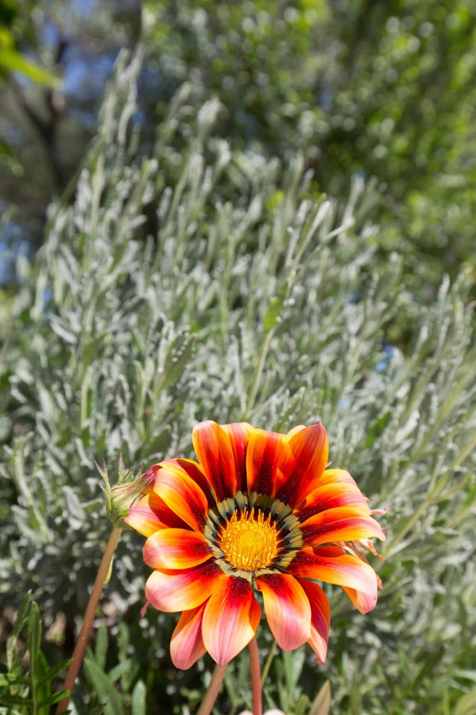 Garden in Karia Holiday Home