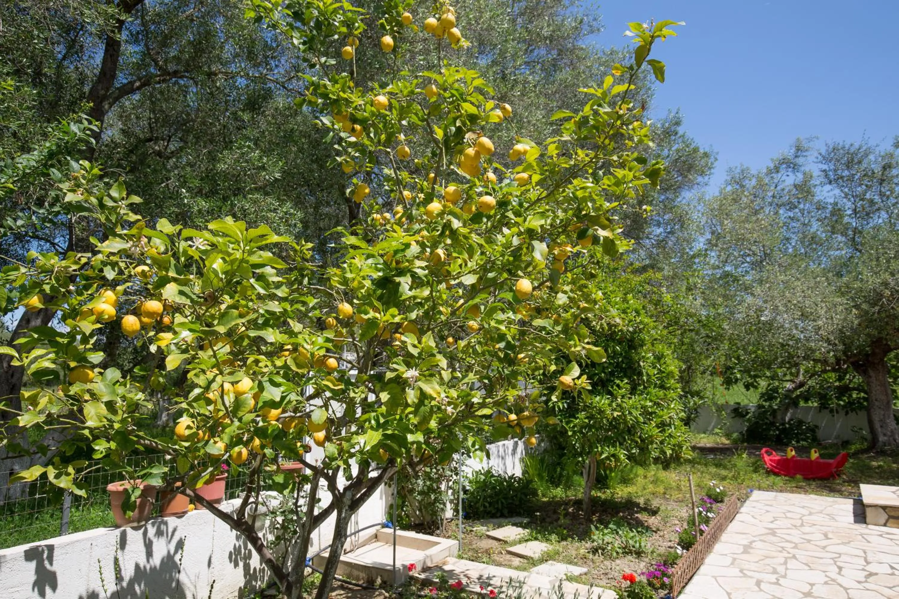 Garden in Karia Holiday Home