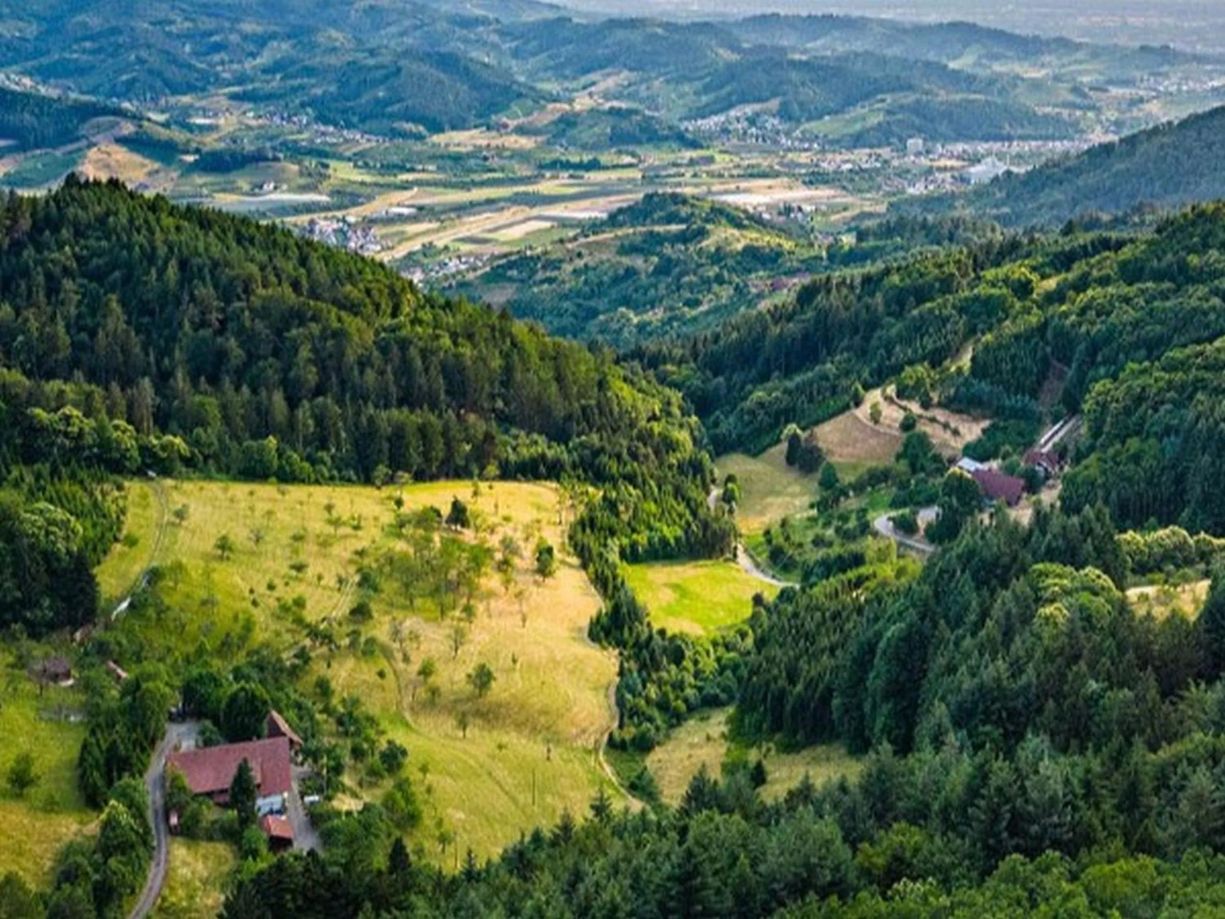 Vogthof
