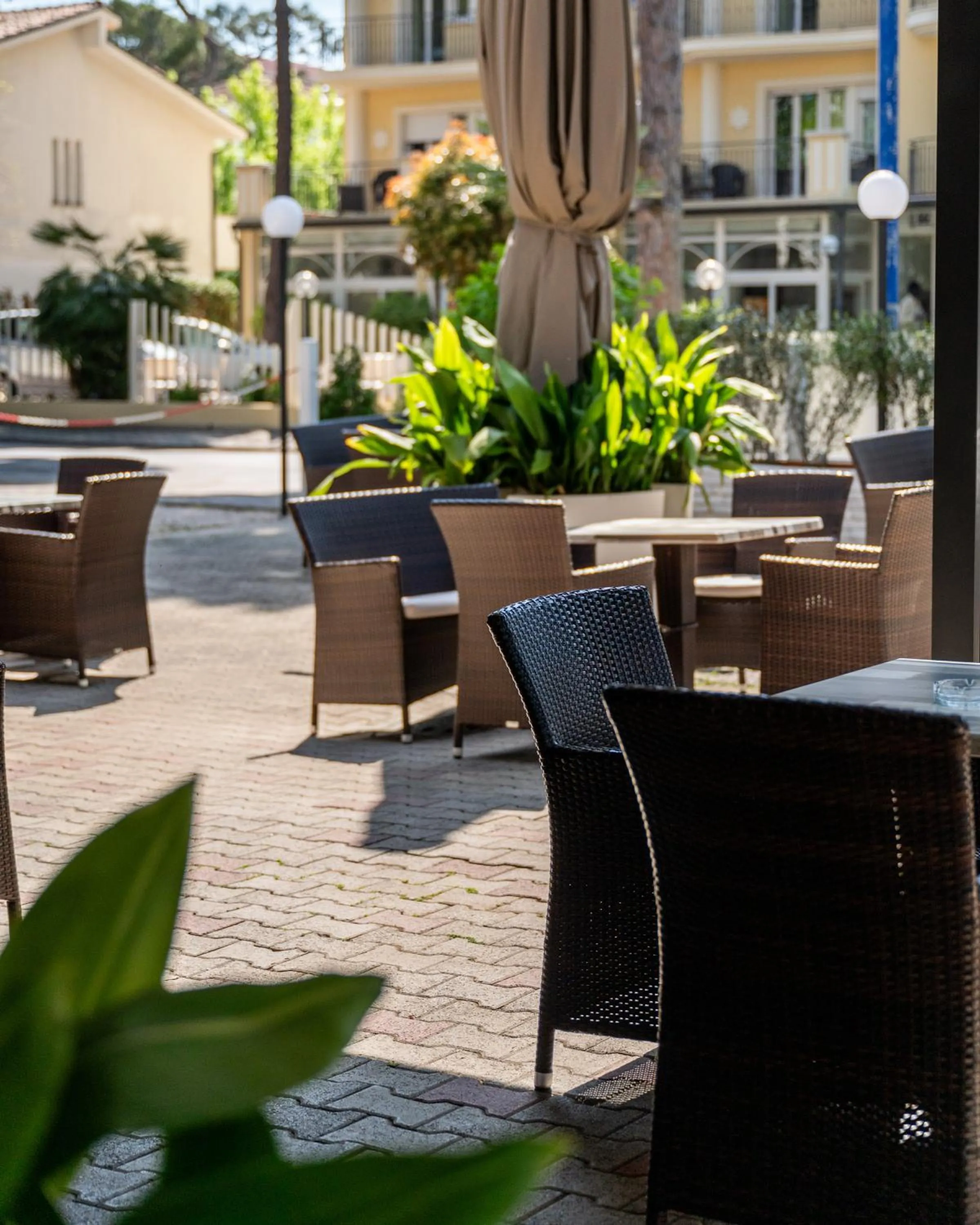 Garden in Hotel Chery