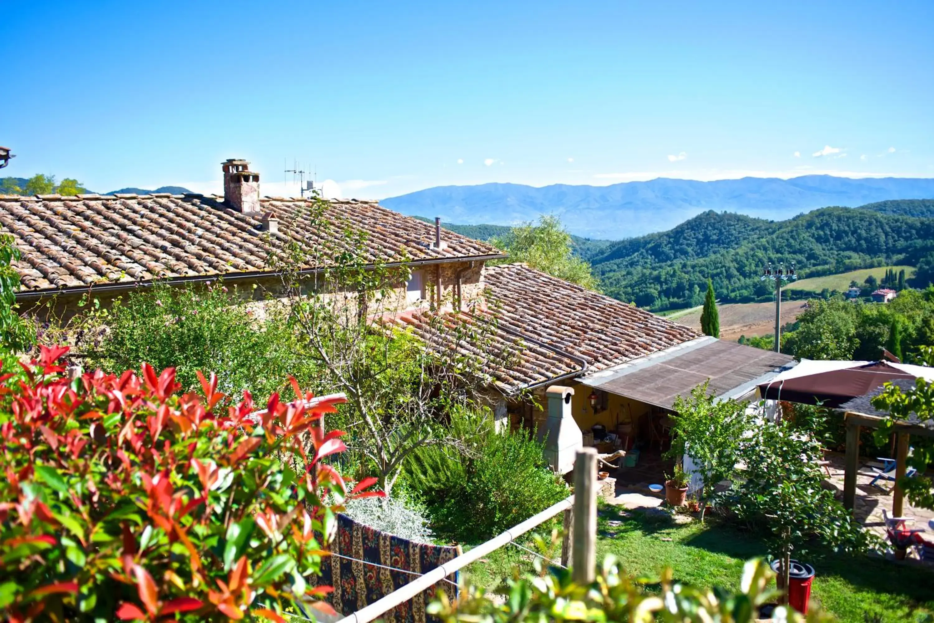 Lionforti Da Vico Lionforti Da Vico