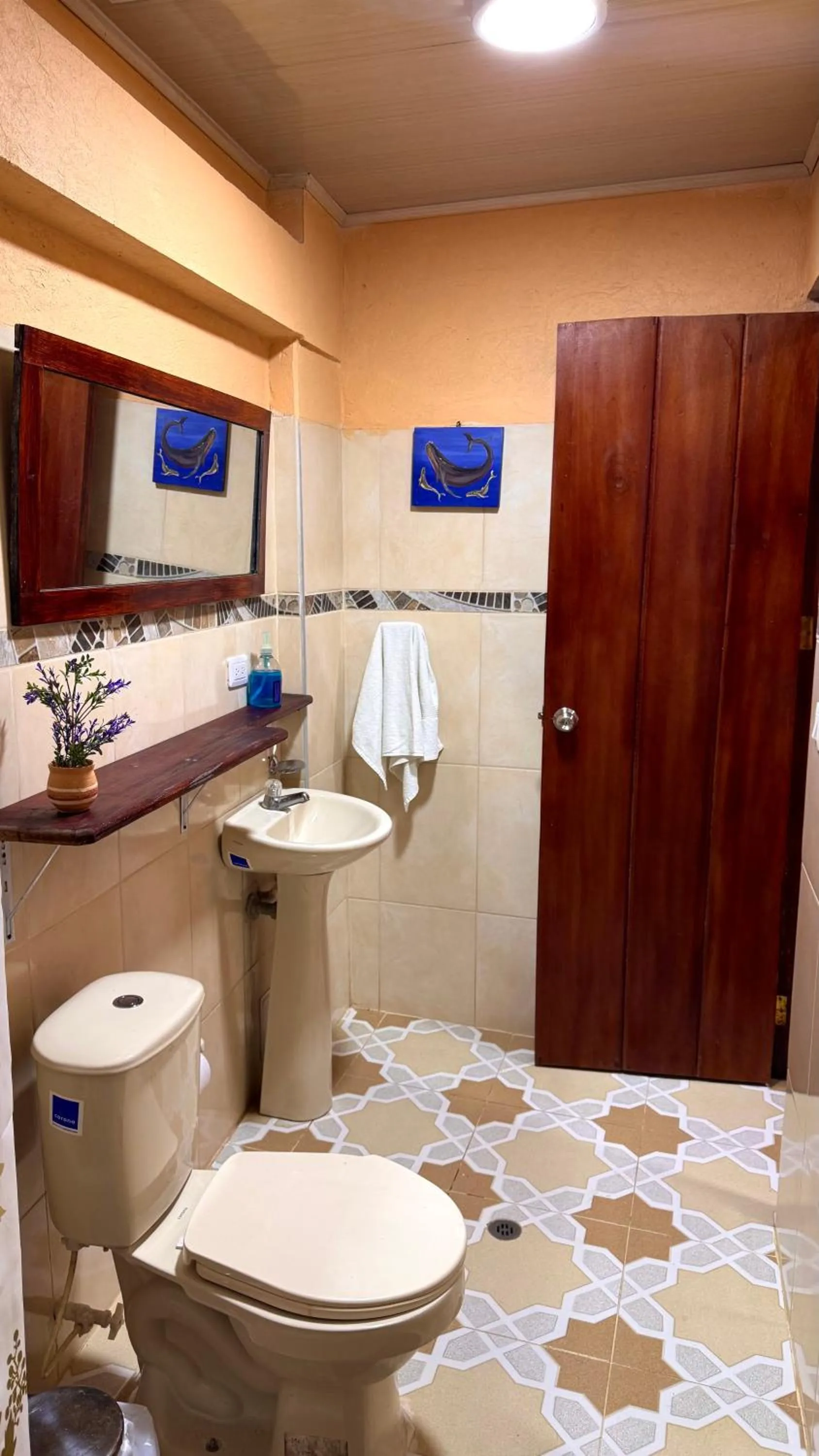 Posada Turística Rocas De Cabo Marzo