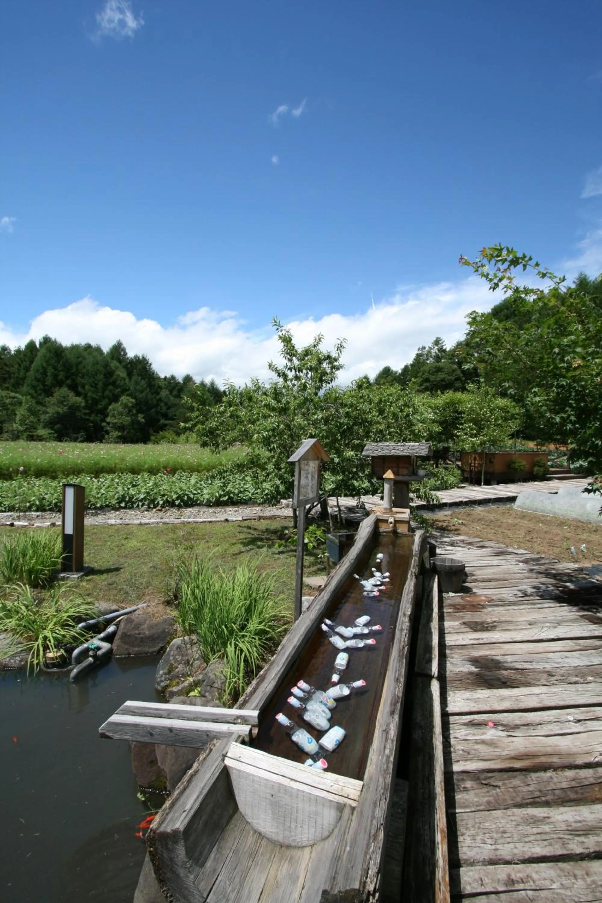 Garden in Tsutaya Tokinoyado Kazari