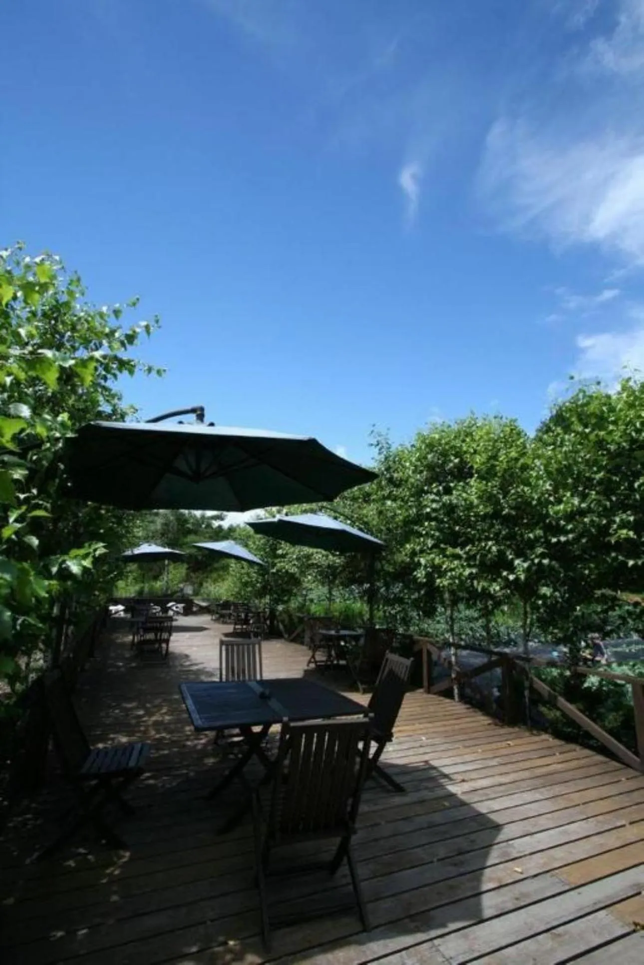 Tsutaya Tokinoyado Kazari