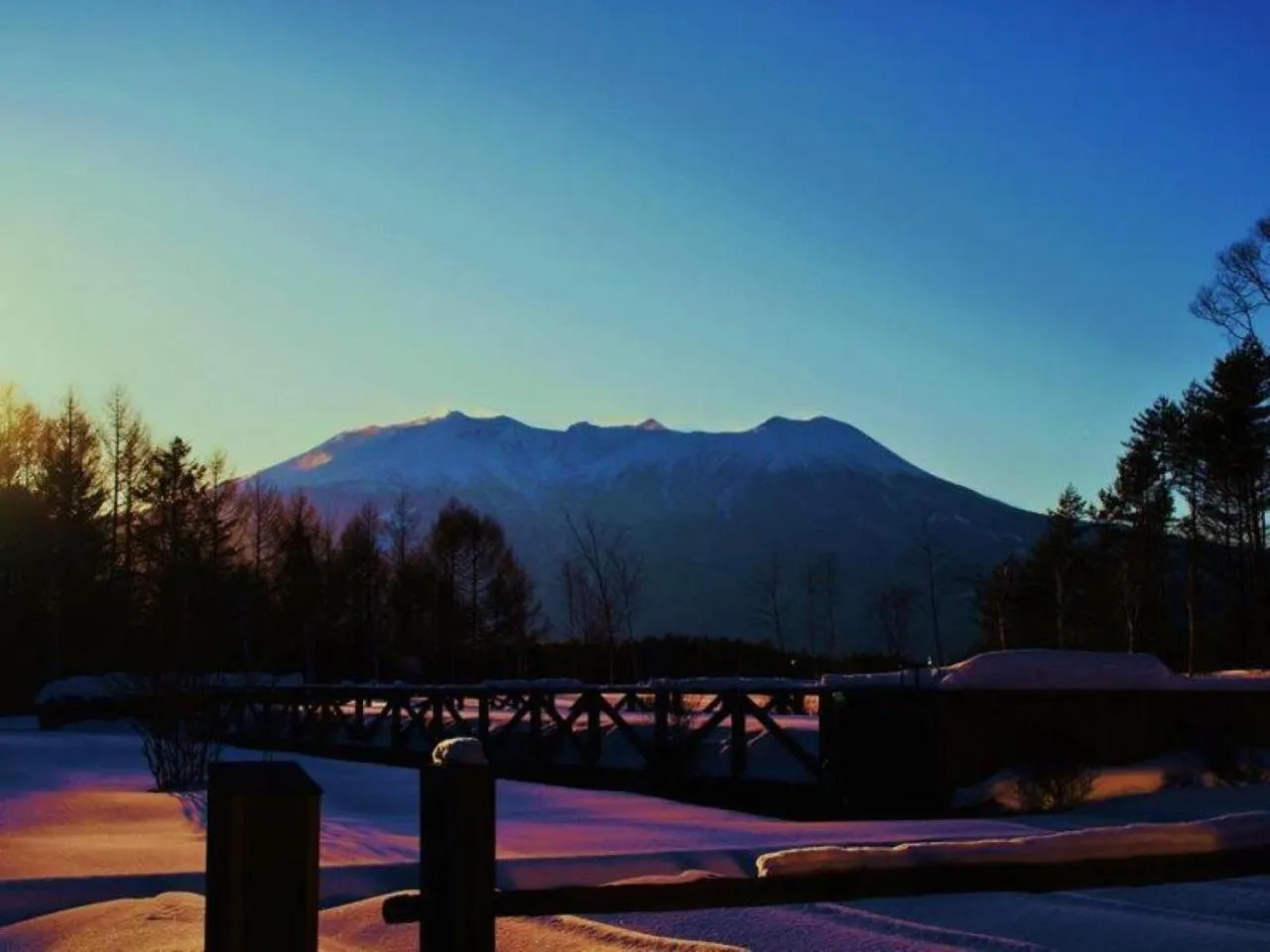 Tsutaya Tokinoyado Kazari