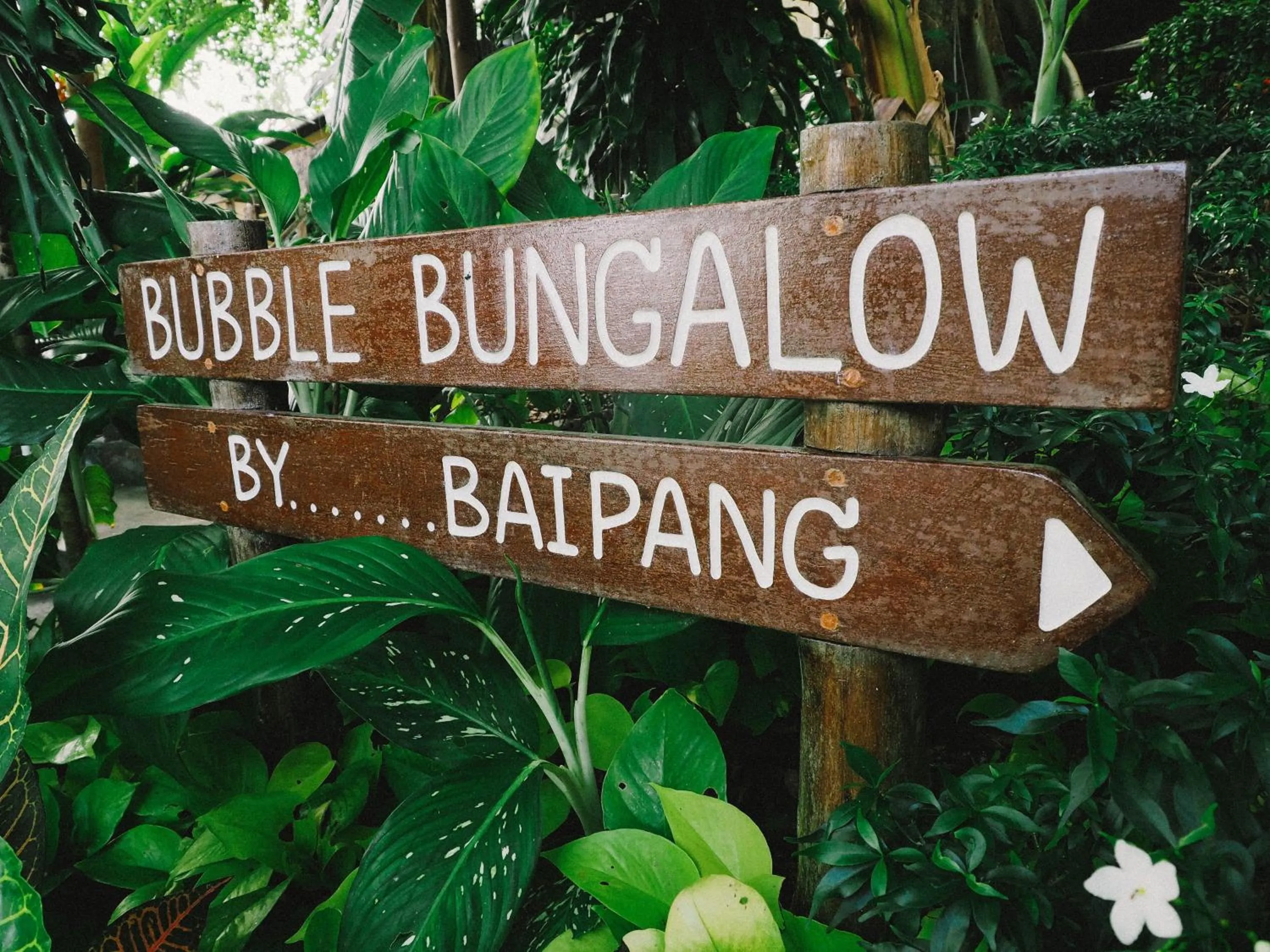 Natural landscape in Bubble Bungalow