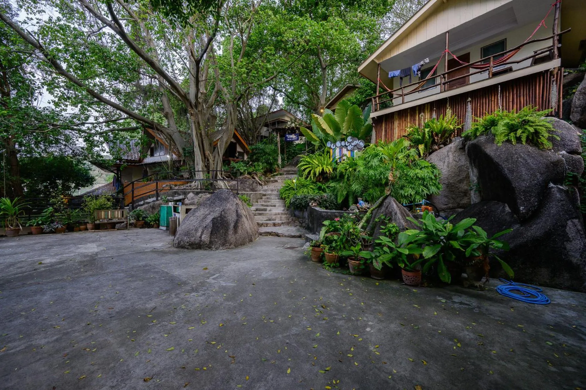 Property building in Bubble Bungalow