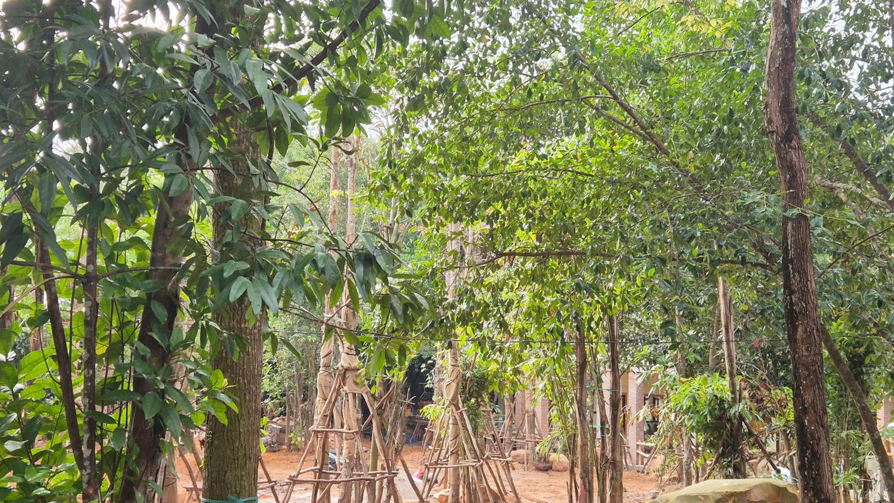 Natural landscape in Valley Village Phu Quoc