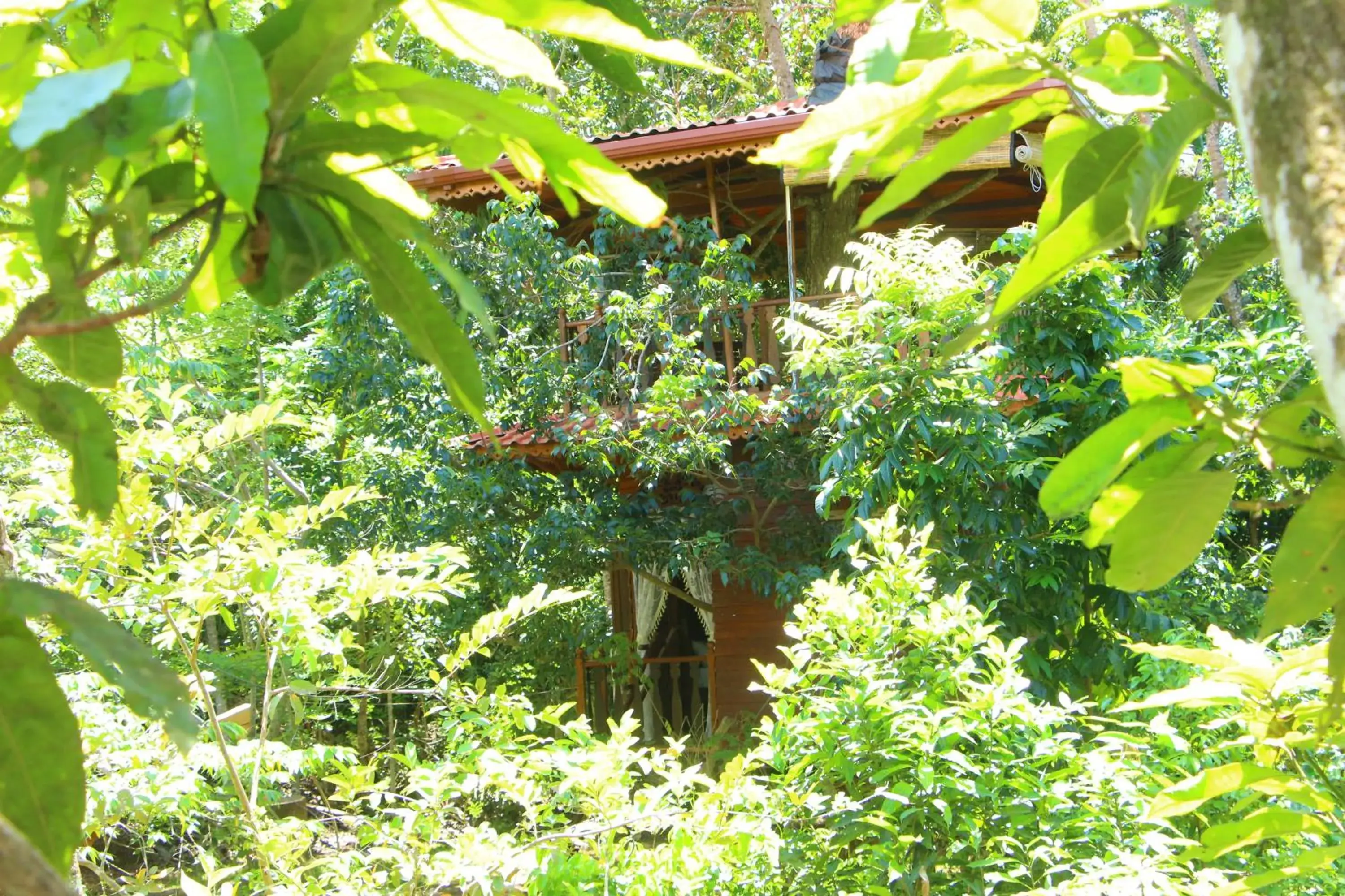 Superior Chalet in Tree House-Midigama Superior Chalet in Tree House-Midigama