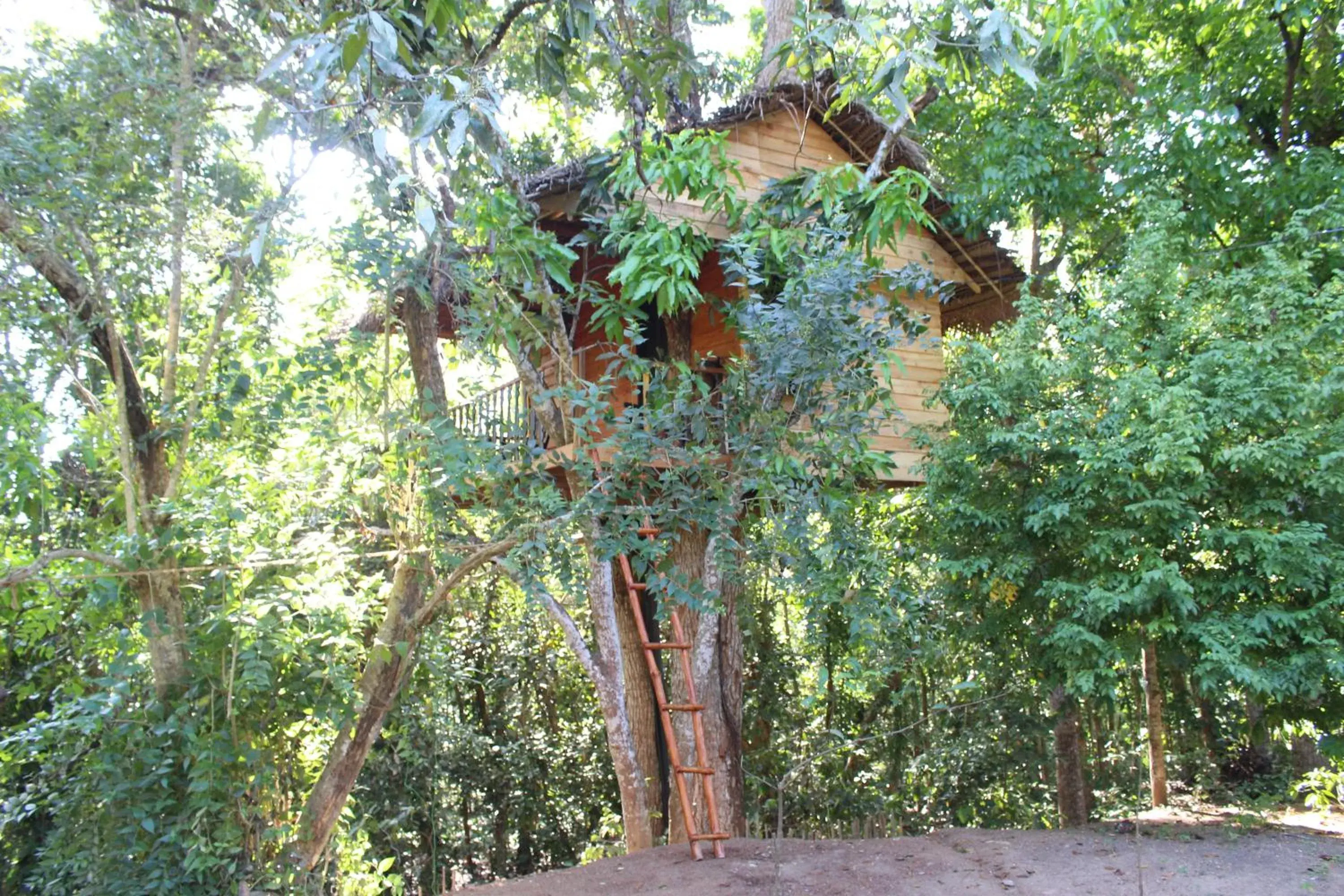 Tree House-Midigama Tree House-Midigama