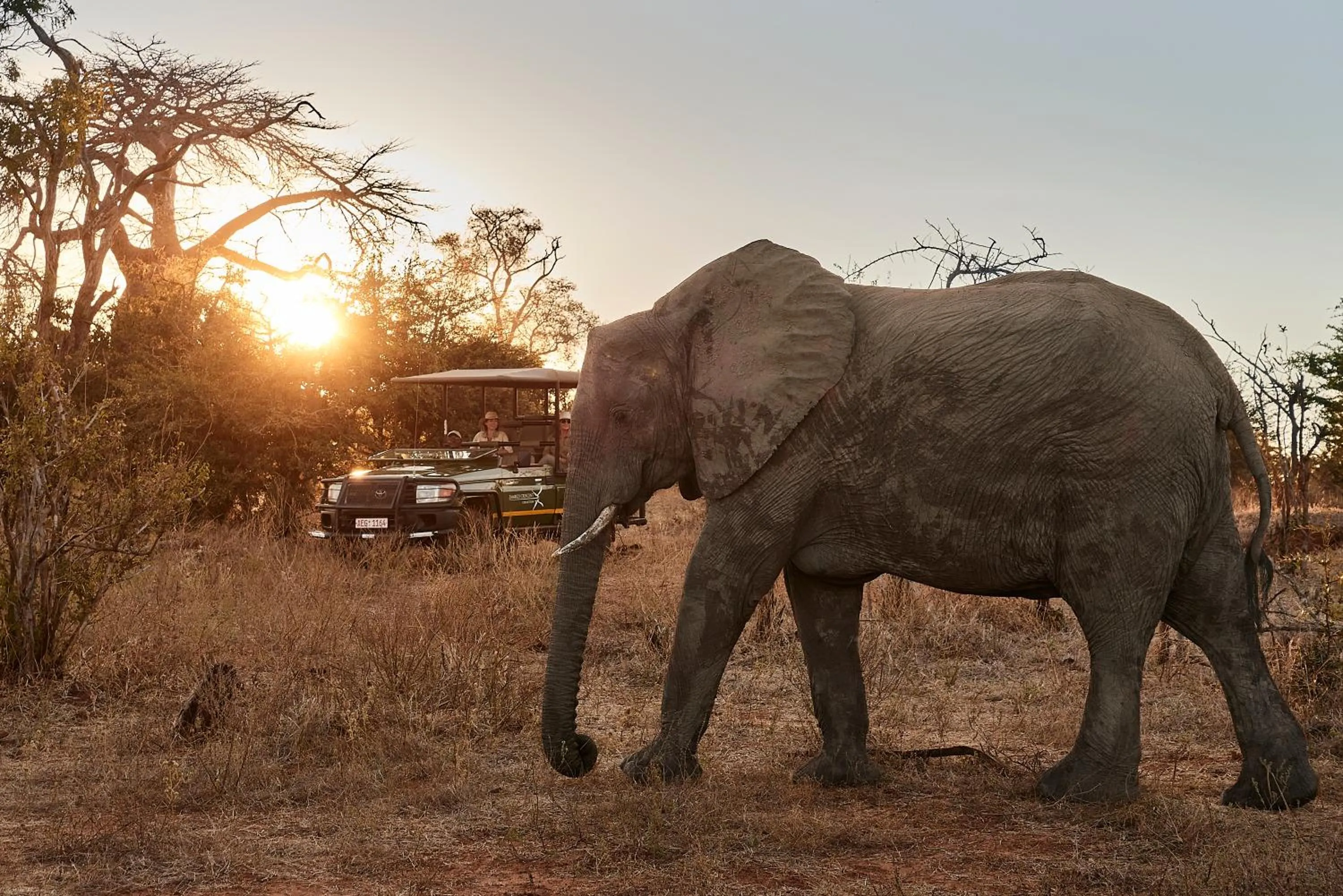 Food and drinks in Victoria Falls River Lodge