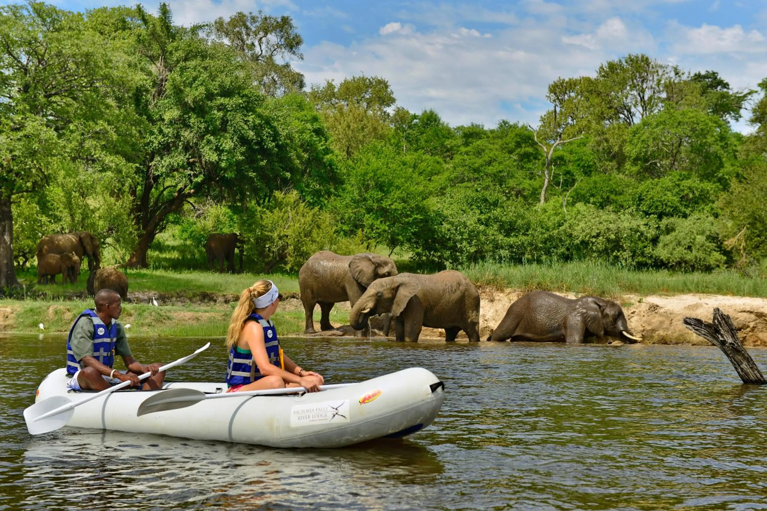 Natural landscape in Victoria Falls River Lodge