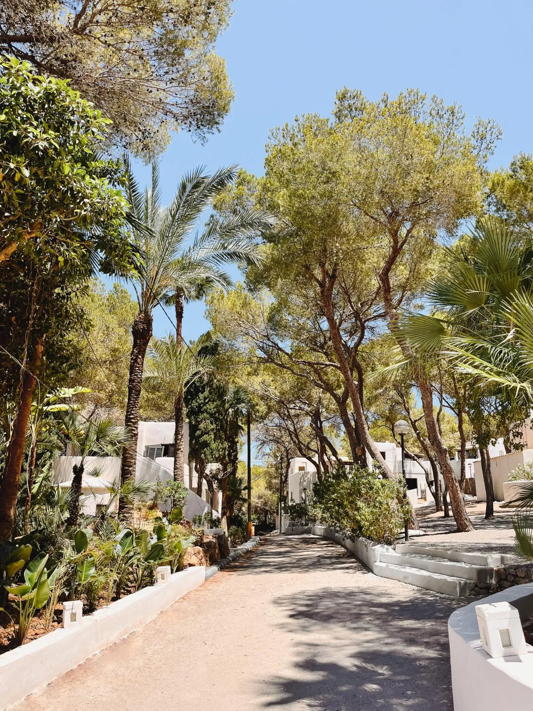 Garden in FERGUS Style Punta Arabi