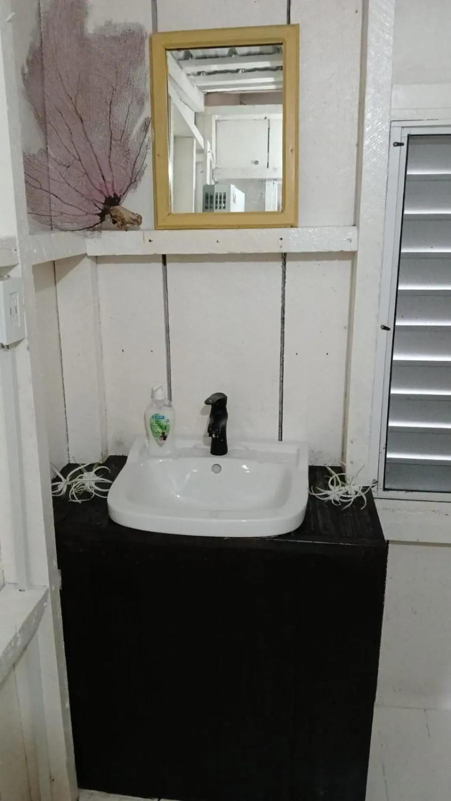 Bathroom in Ranguana Caye Cabanas