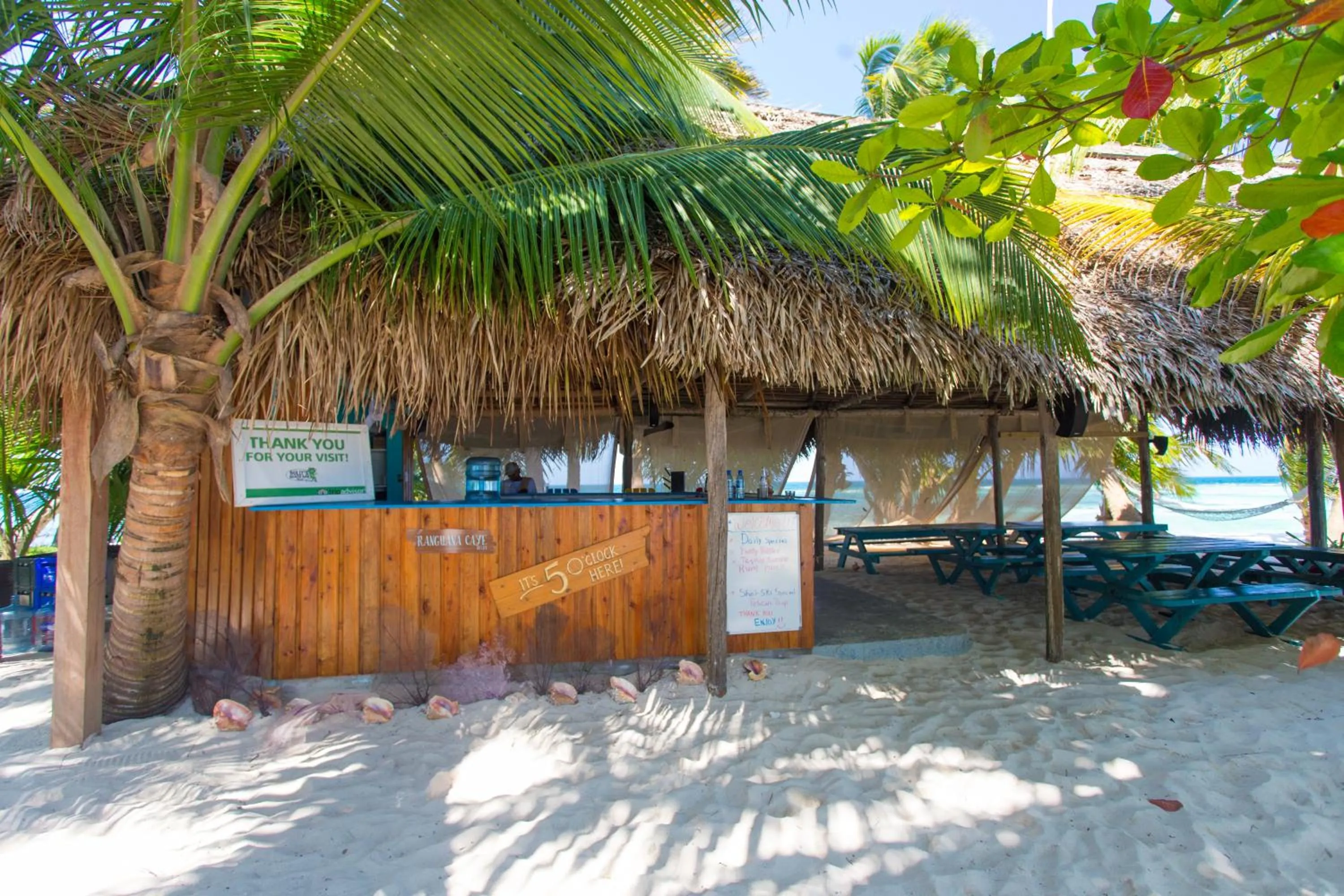 Restaurant/places to eat in Ranguana Caye Cabanas