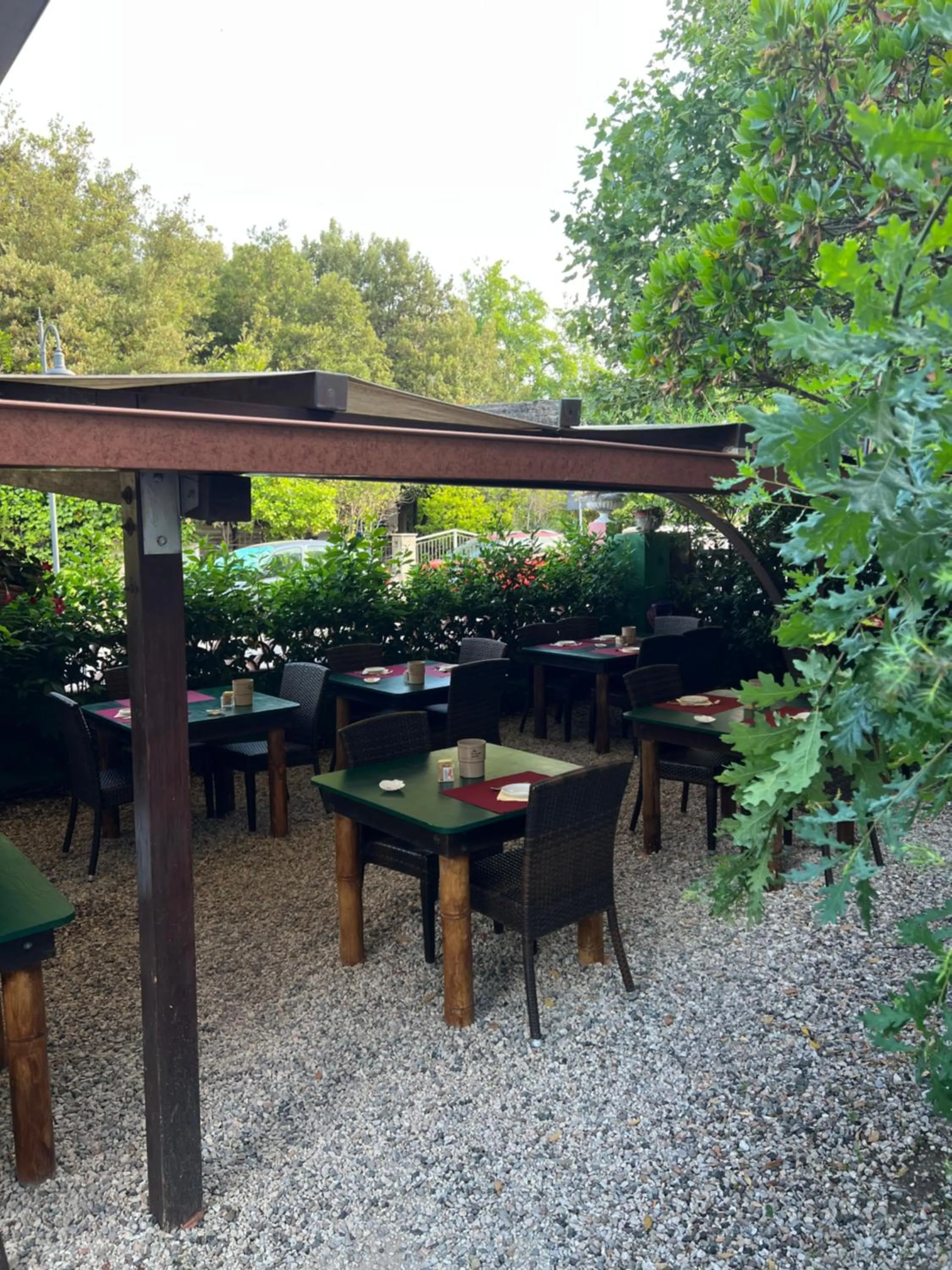 Garden in Hotel Ellymar