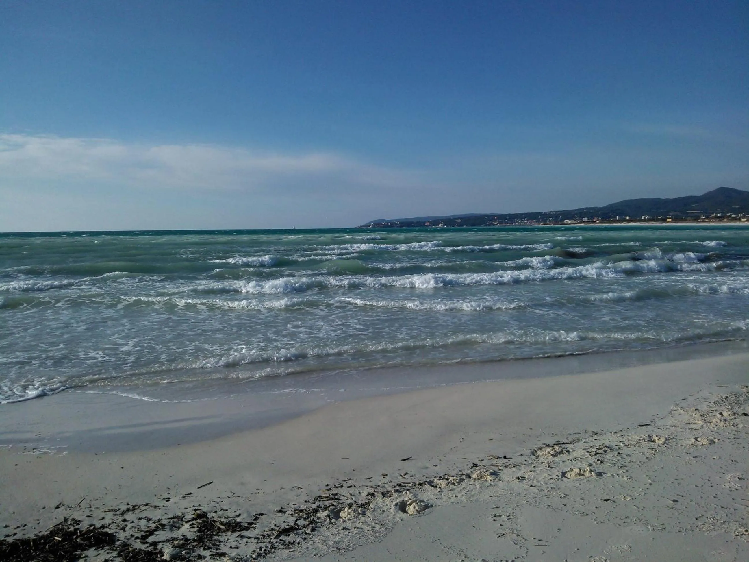 Beach in Hotel Ellymar