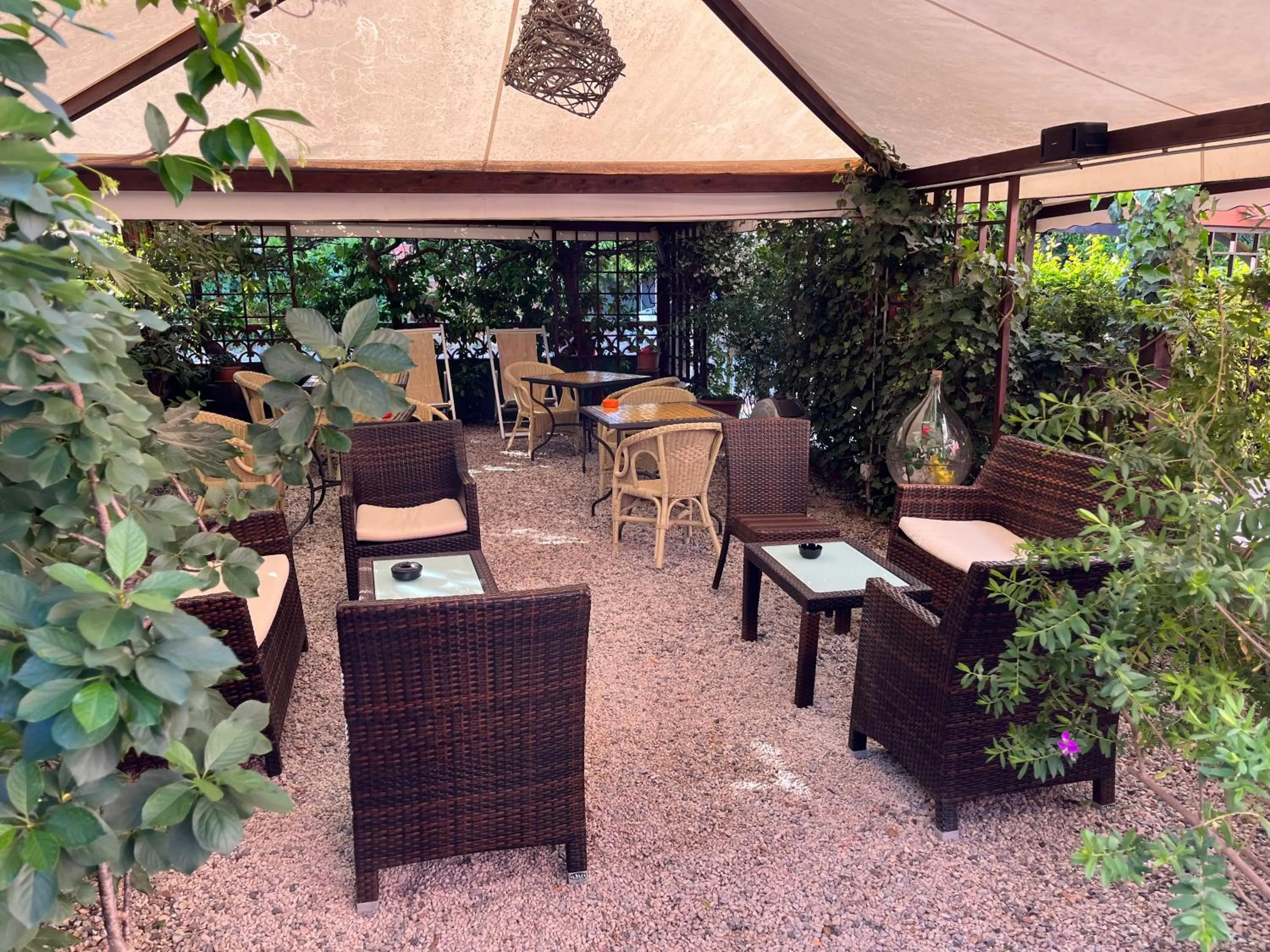 Garden in Hotel Ellymar