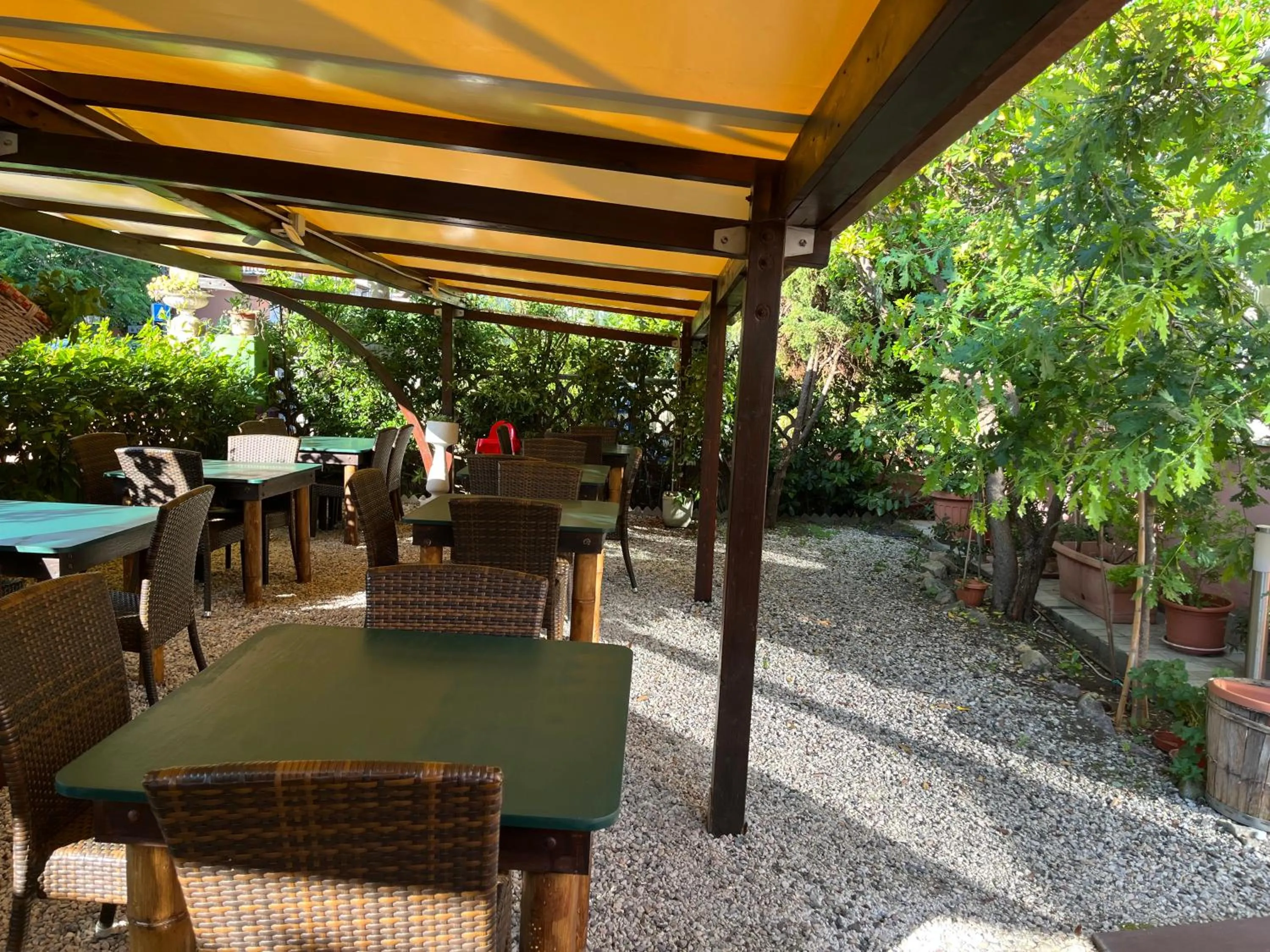 Garden in Hotel Ellymar