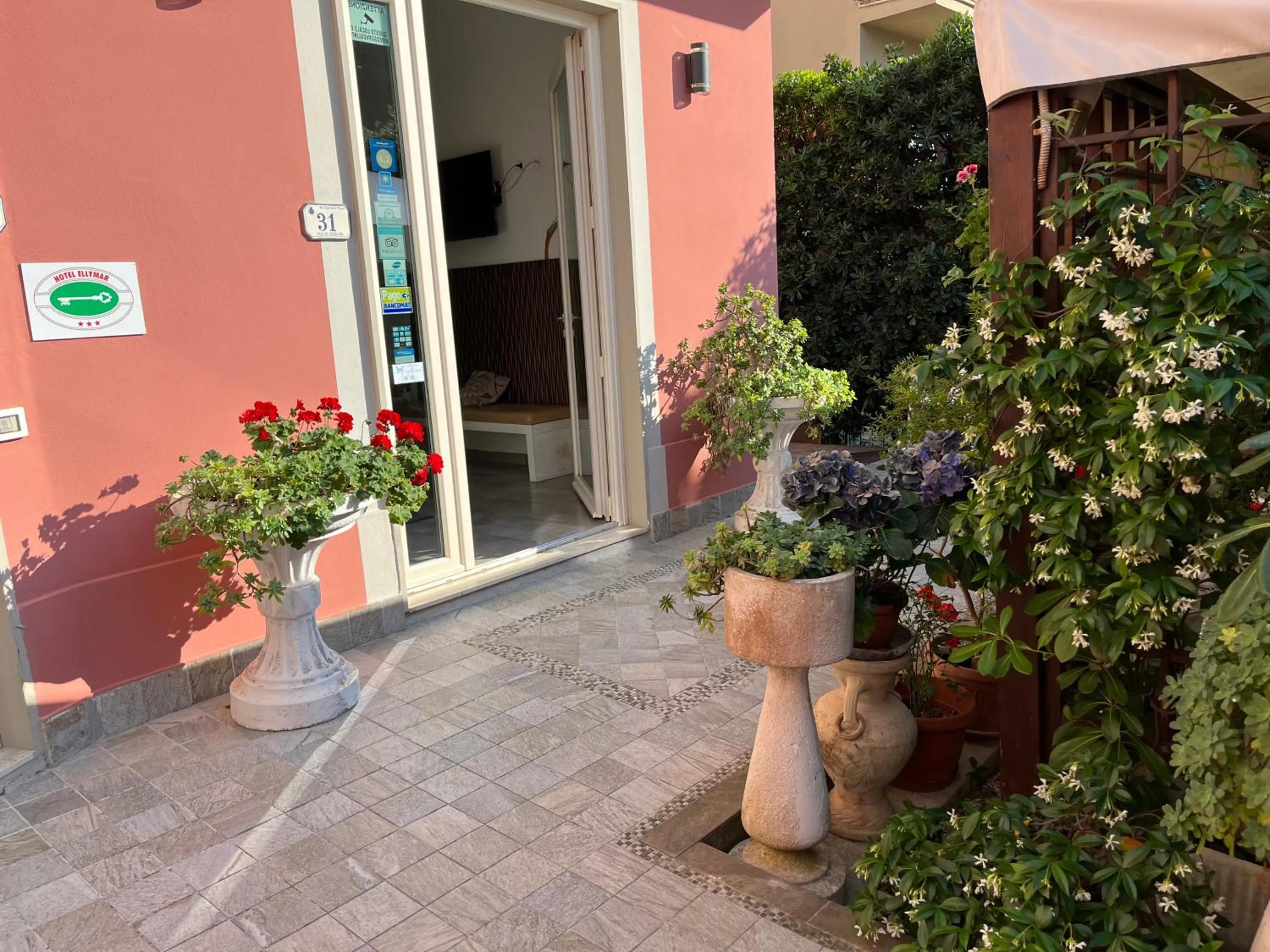 Garden in Hotel Ellymar