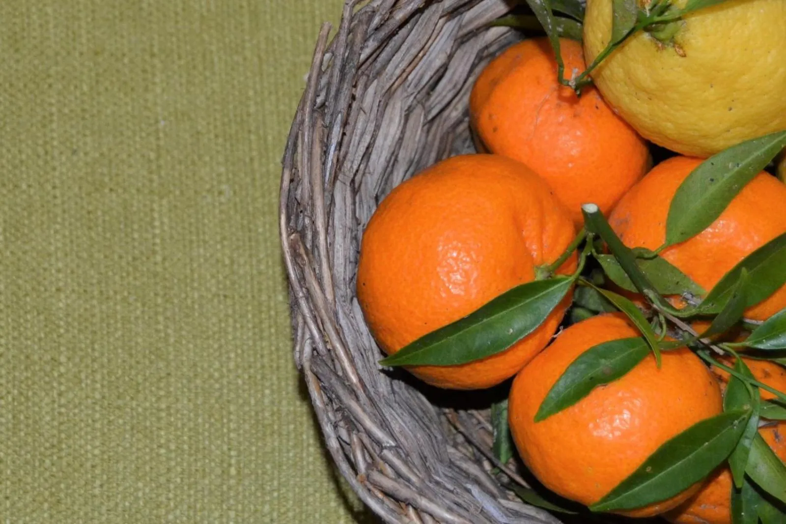 Food and drinks in B&B Le Macine 1868