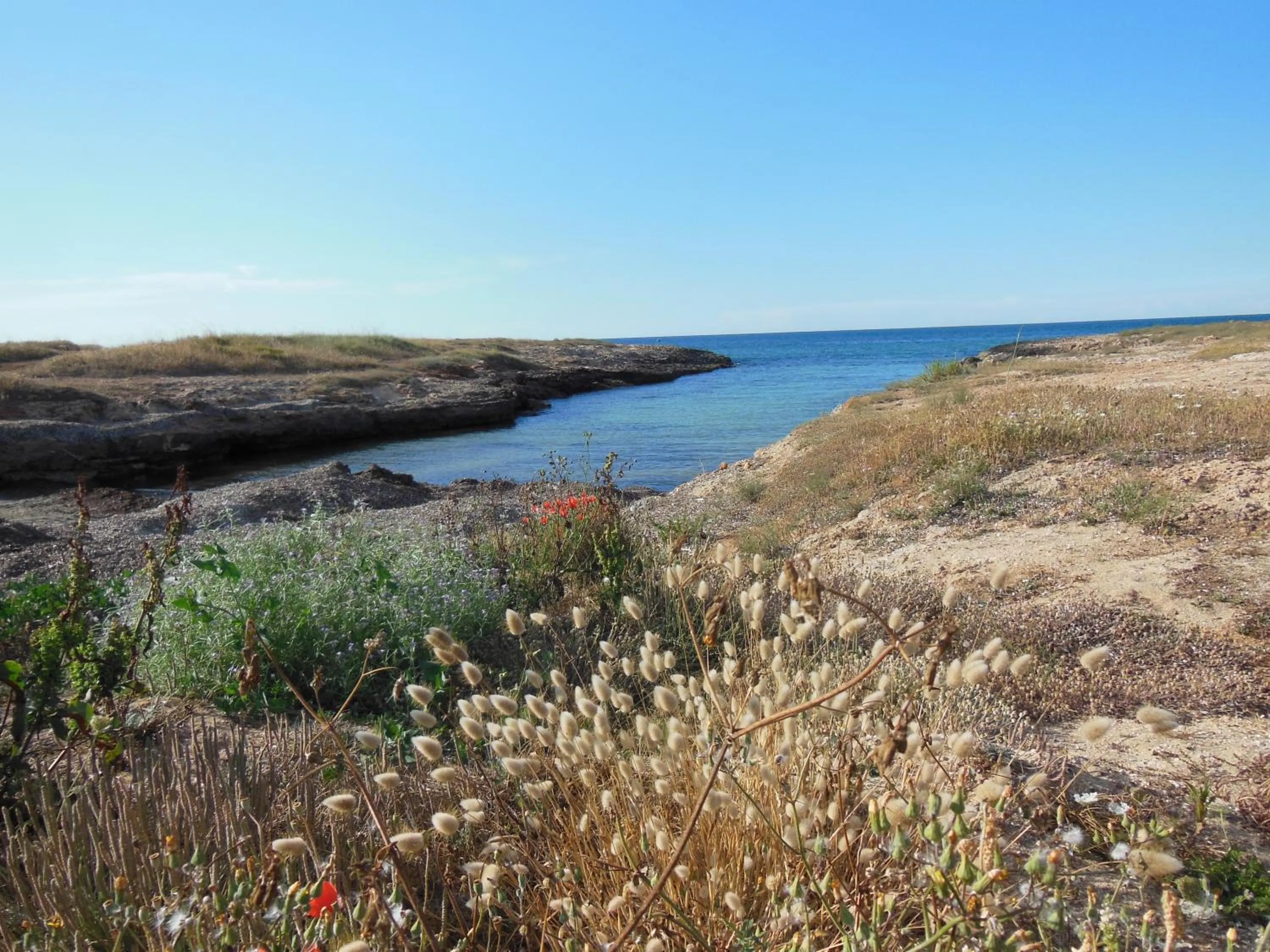 Area and facilities in Residence Club Barbara