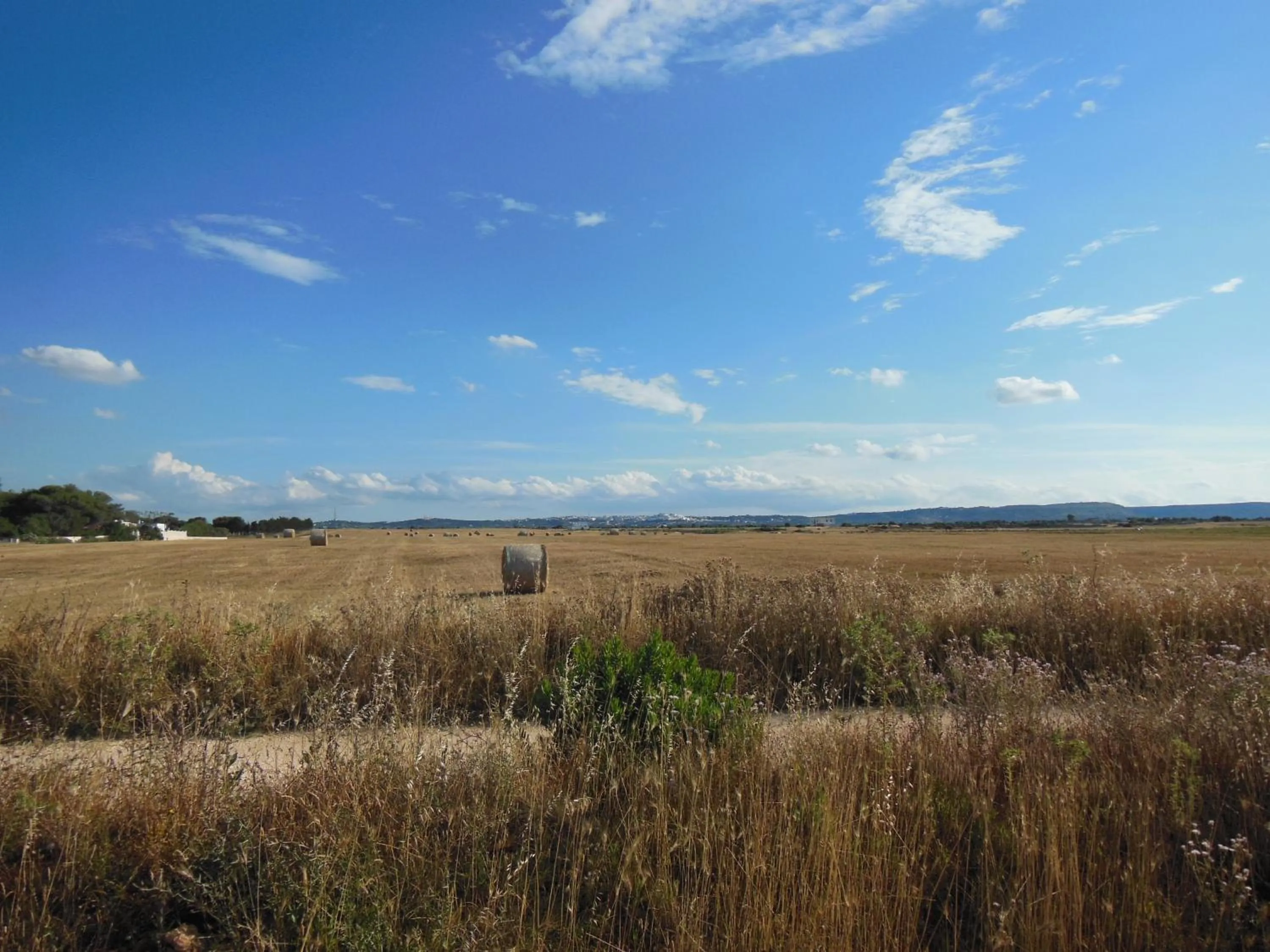 Area and facilities in Residence Club Barbara