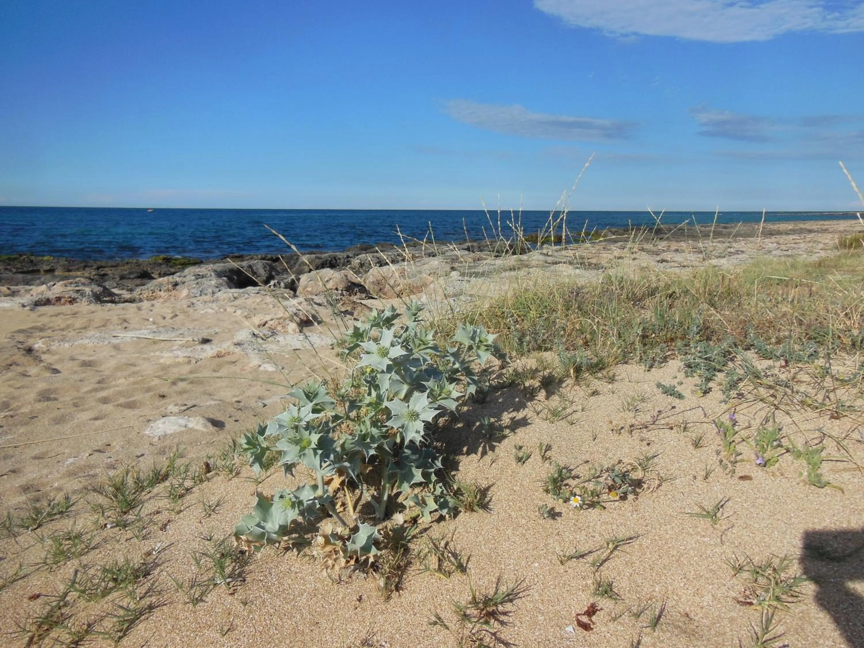 Area and facilities in Residence Club Barbara