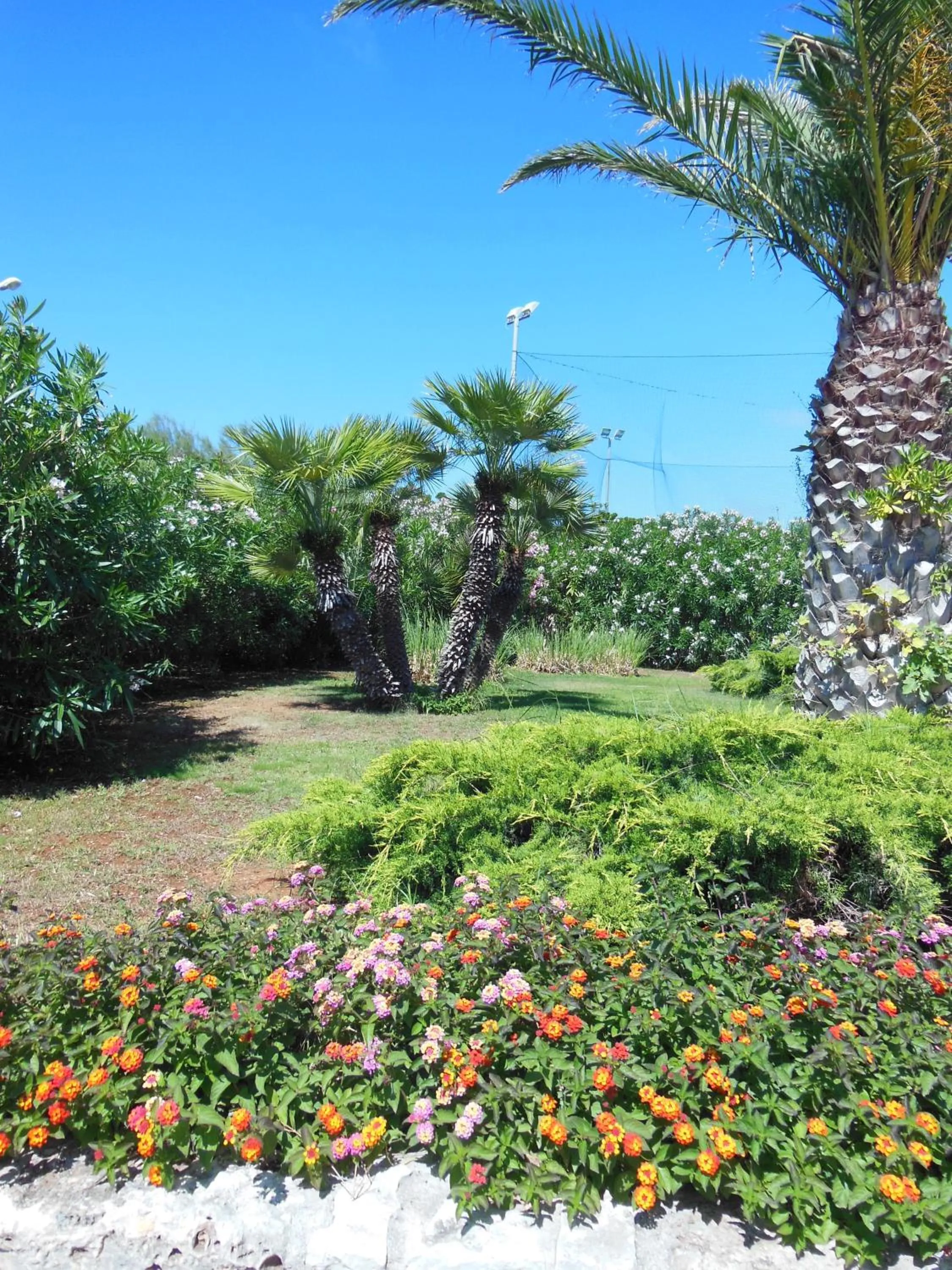 Garden in Residence Club Barbara