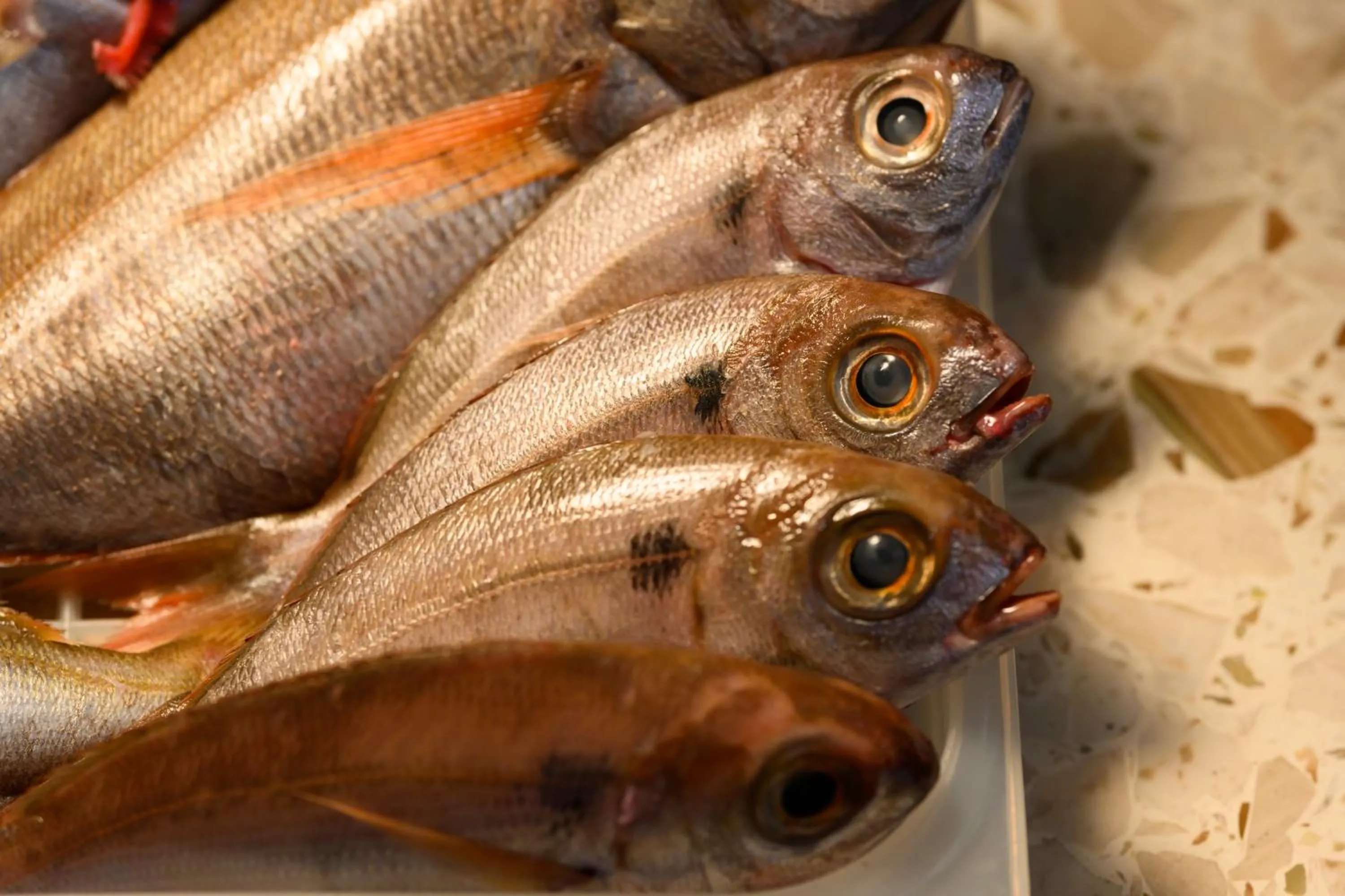 Food and drinks in Hotel Mandetta - Adults Only