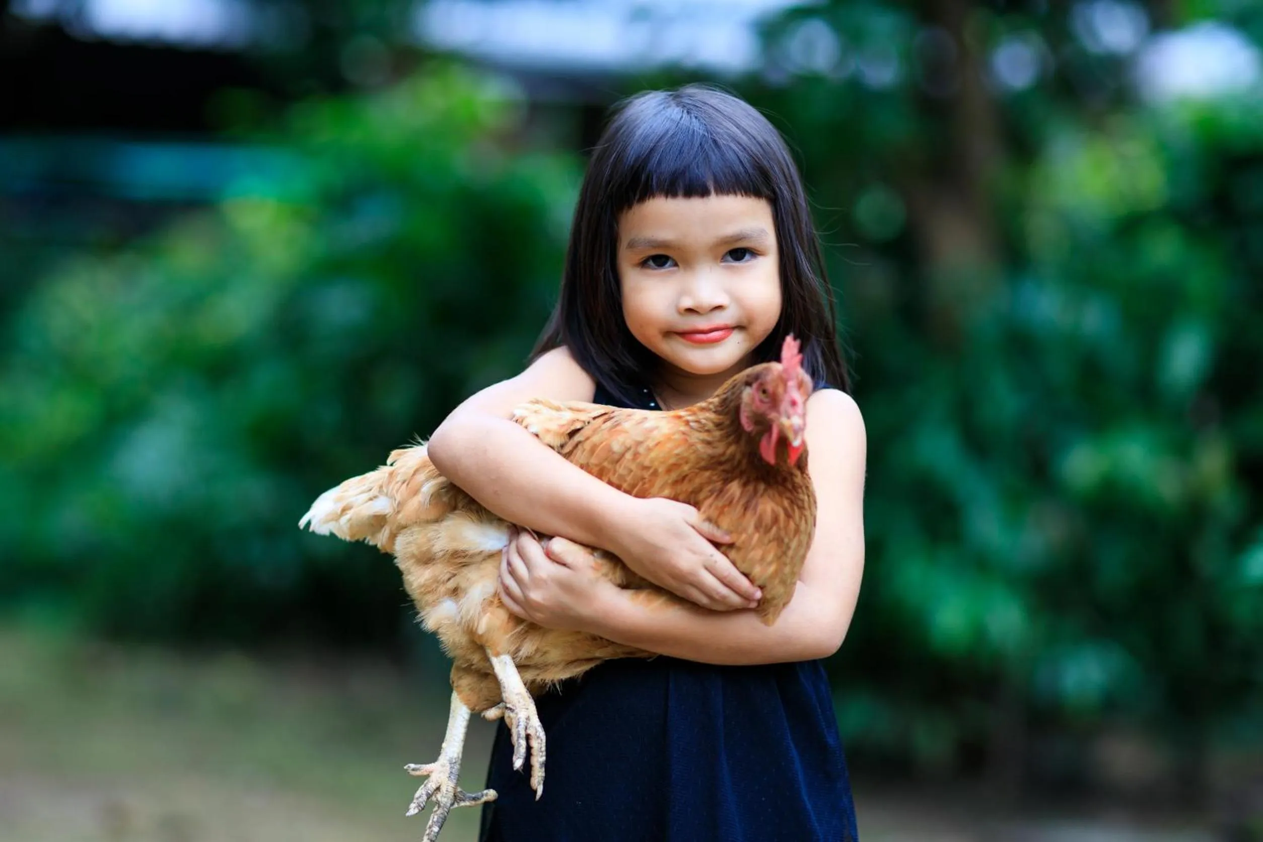 Animals in Bang Po Hut