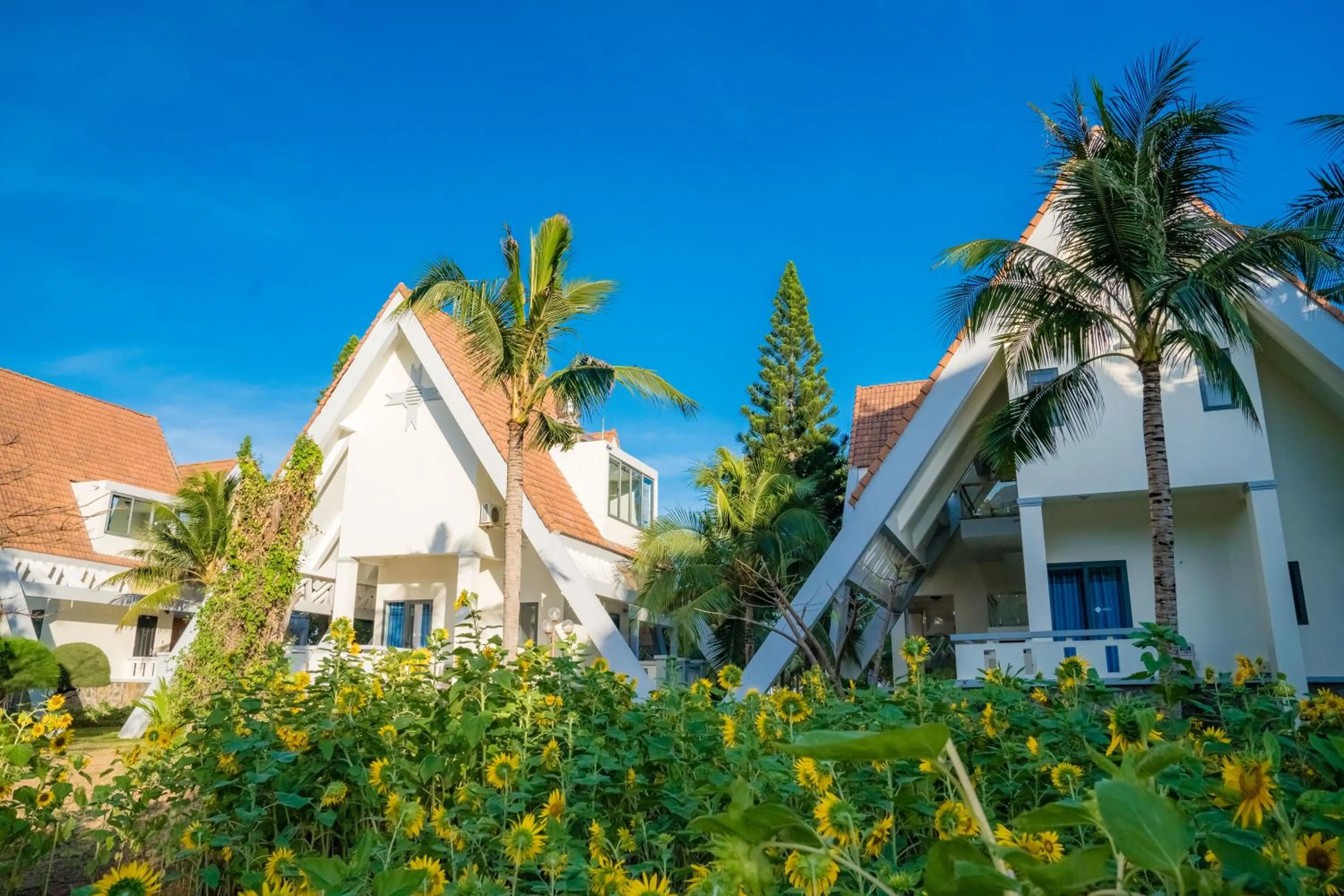 Garden in Lotus Vung Tau Resort & Spa