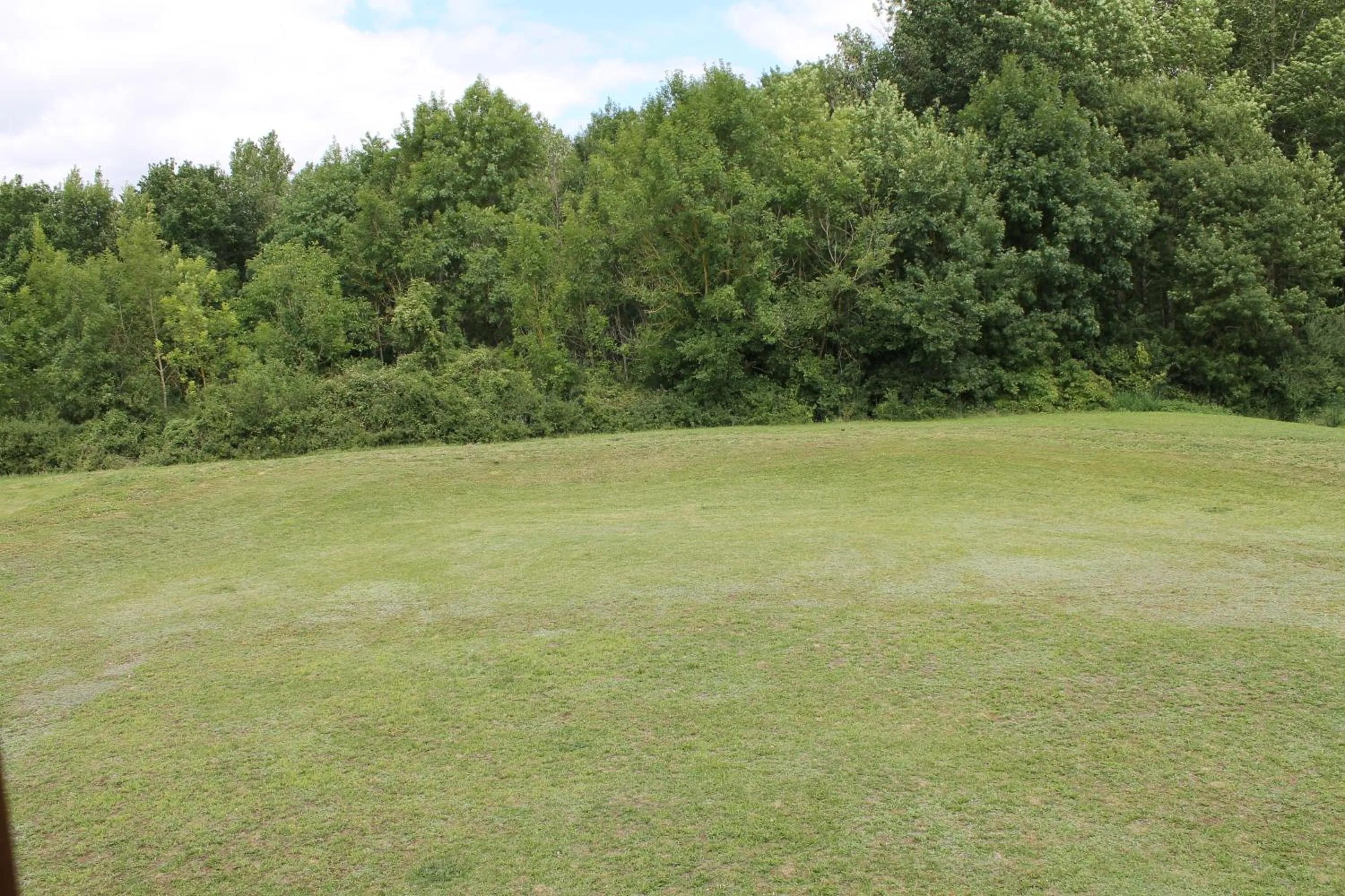 Garden view in Logis Hotel Restaurant de l'Abbaye