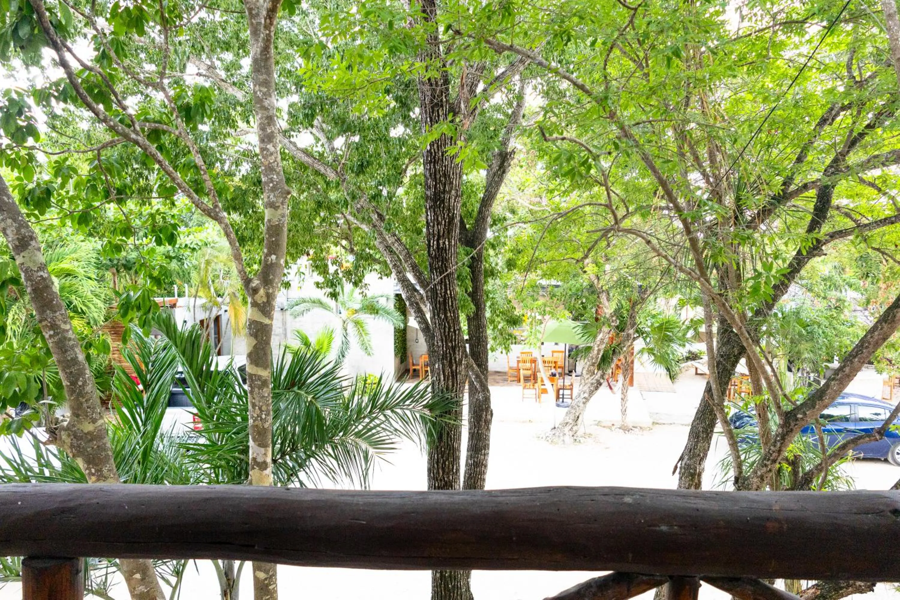 Garden view in Hotel Casa Tortuga Tulum - Cenotes Park Inclusive