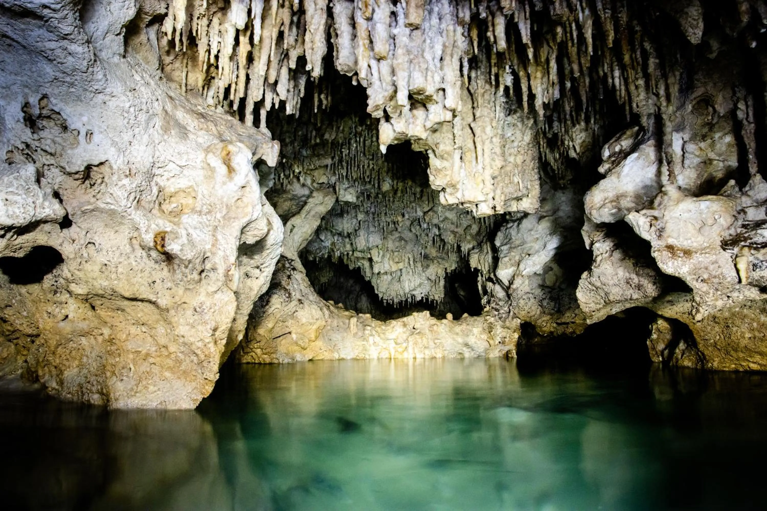 Natural landscape in Hotel Casa Tortuga Tulum - Cenotes Park Inclusive