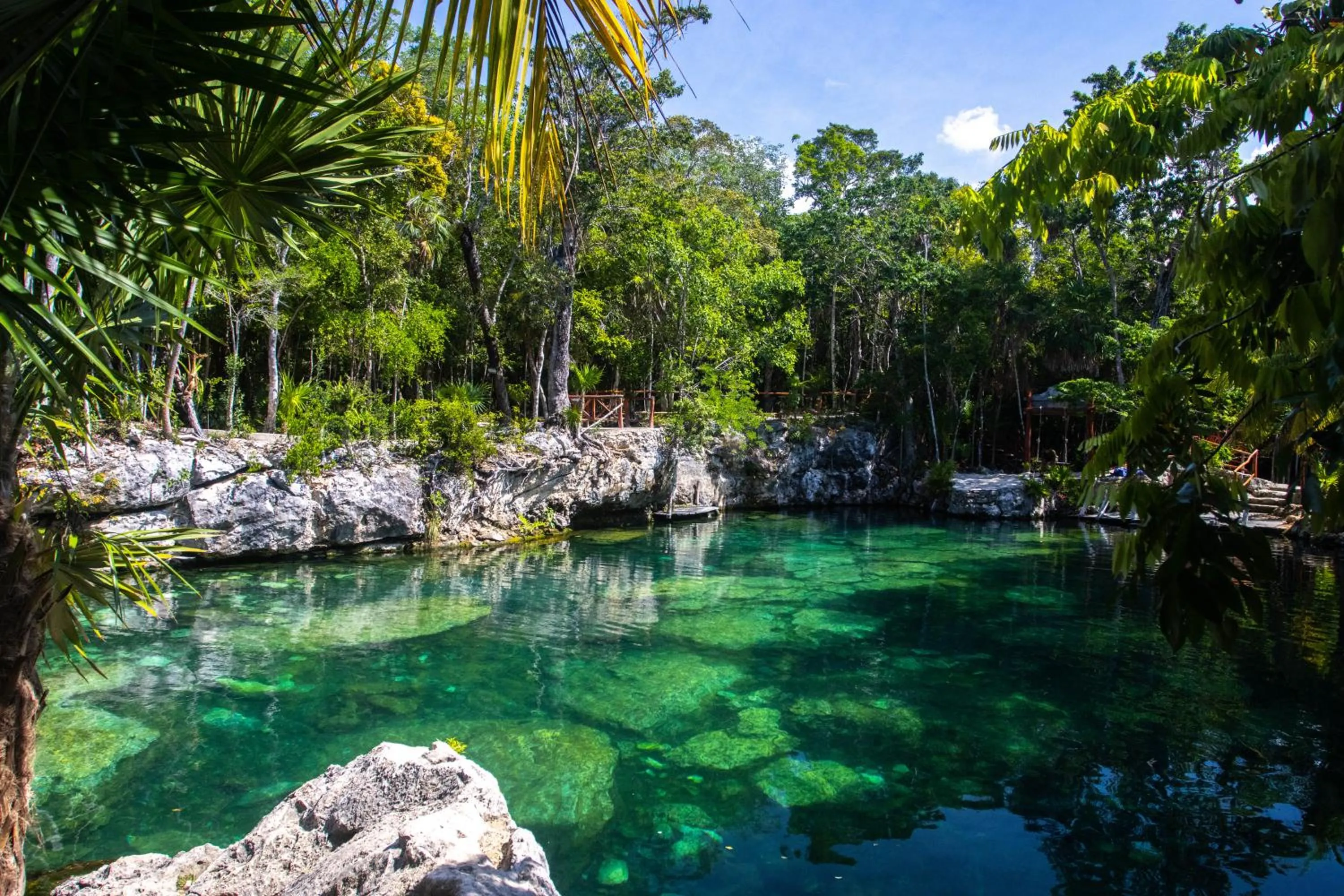 Natural landscape in Hotel Casa Tortuga Tulum - Cenotes Park Inclusive