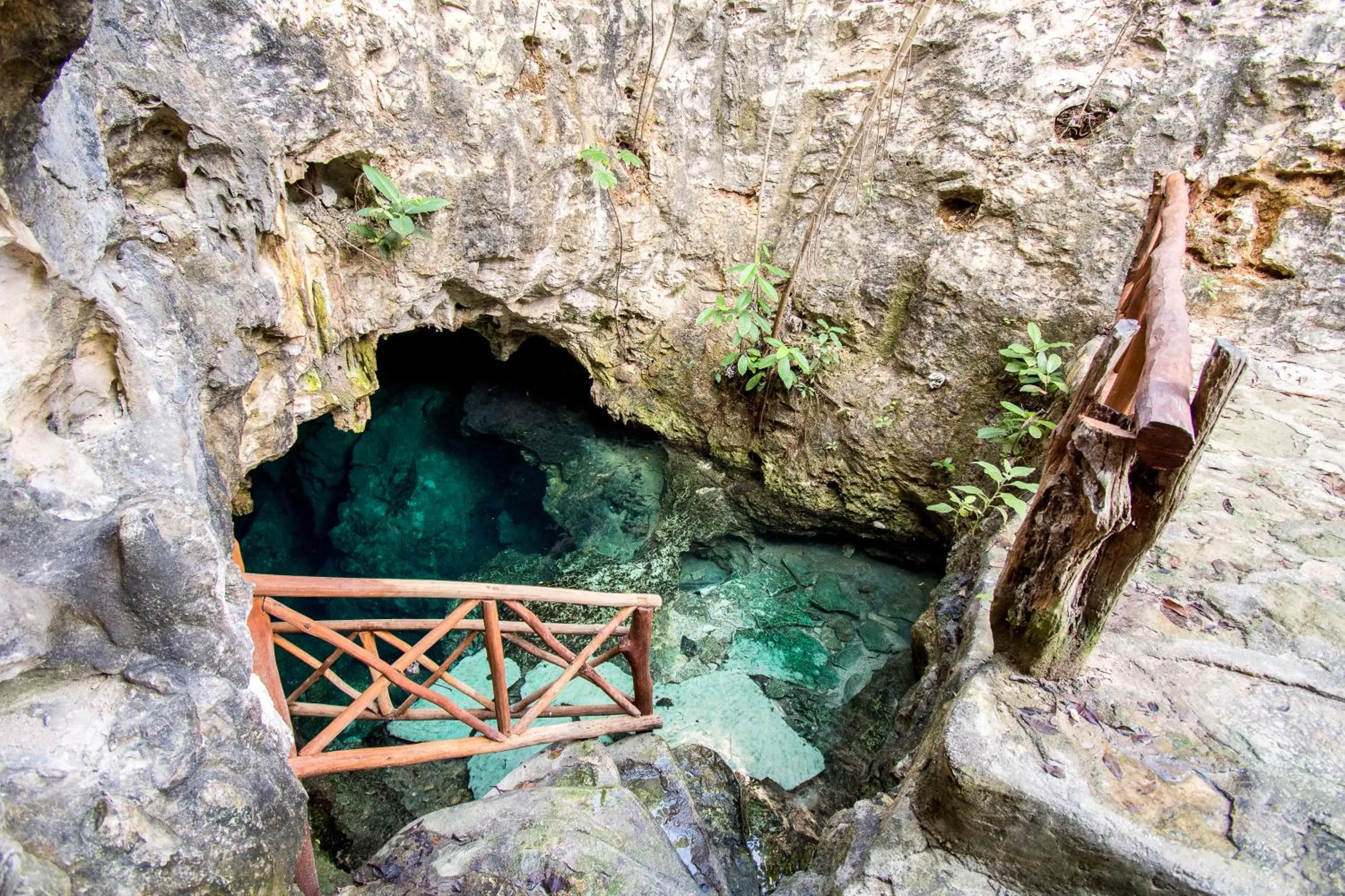 Natural landscape in Hotel Casa Tortuga Tulum - Cenotes Park Inclusive