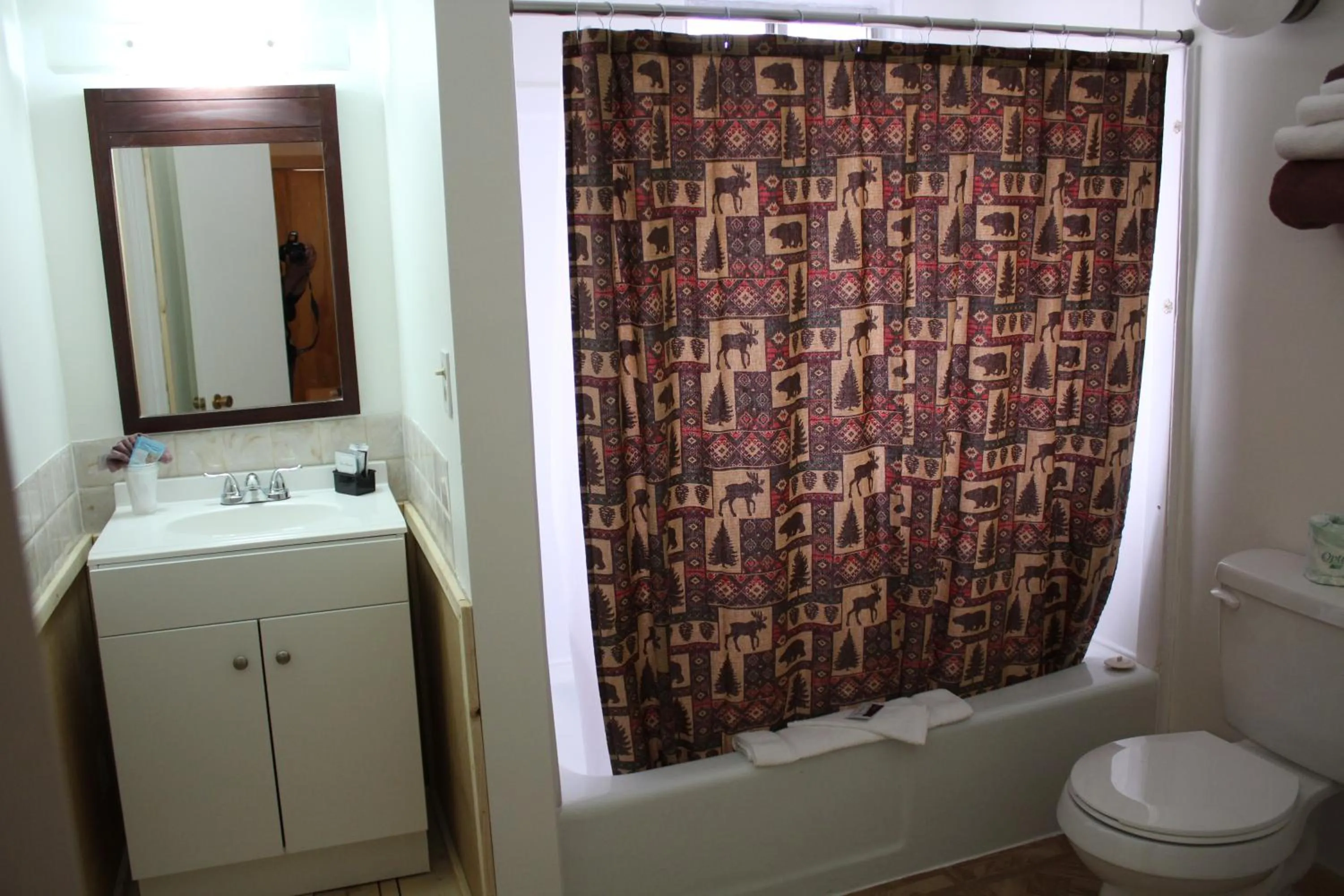 Toilet in Trail's End Motel Downtown Lewistown