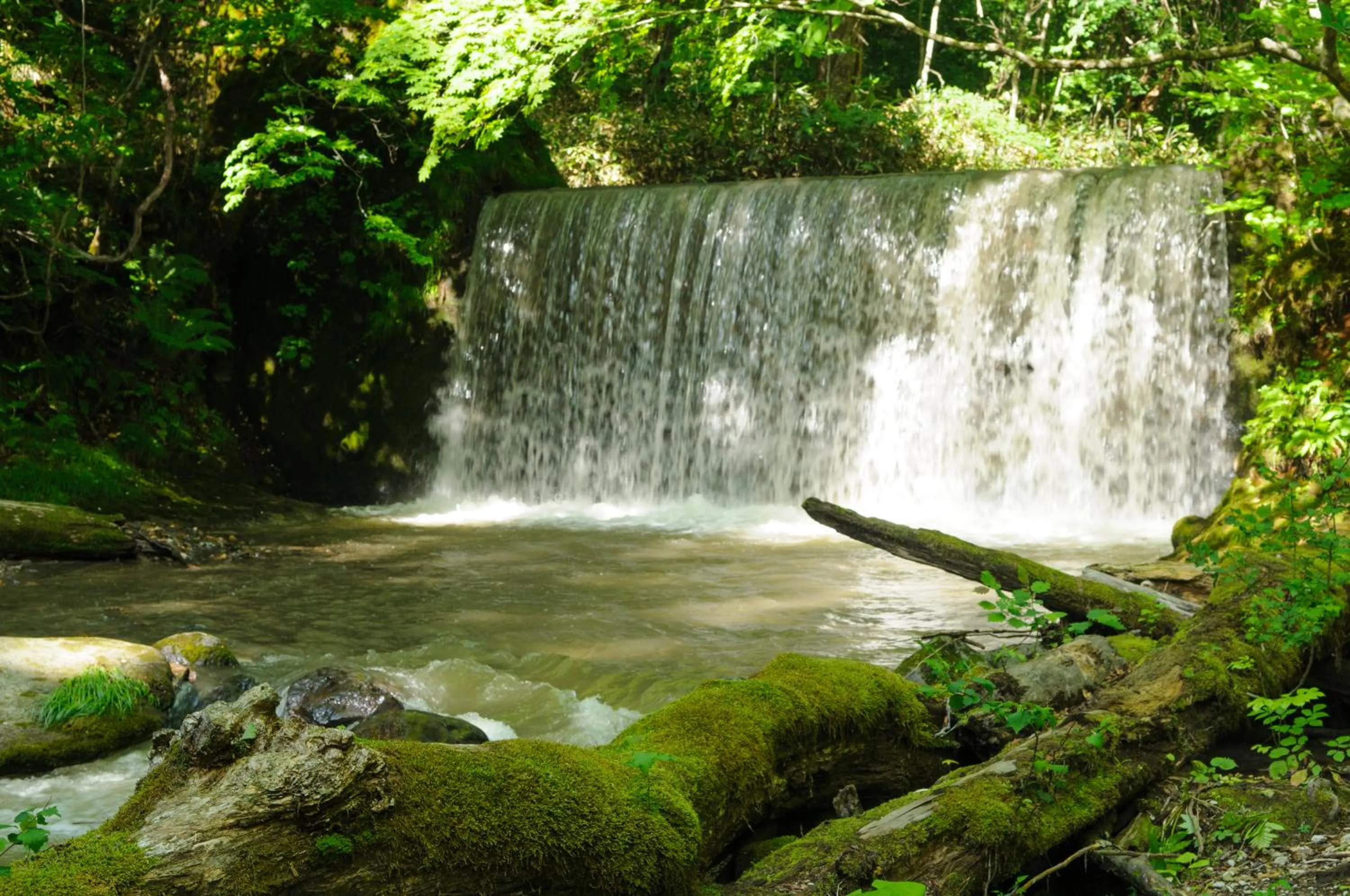 Nearby landmark in Yachi Onsen