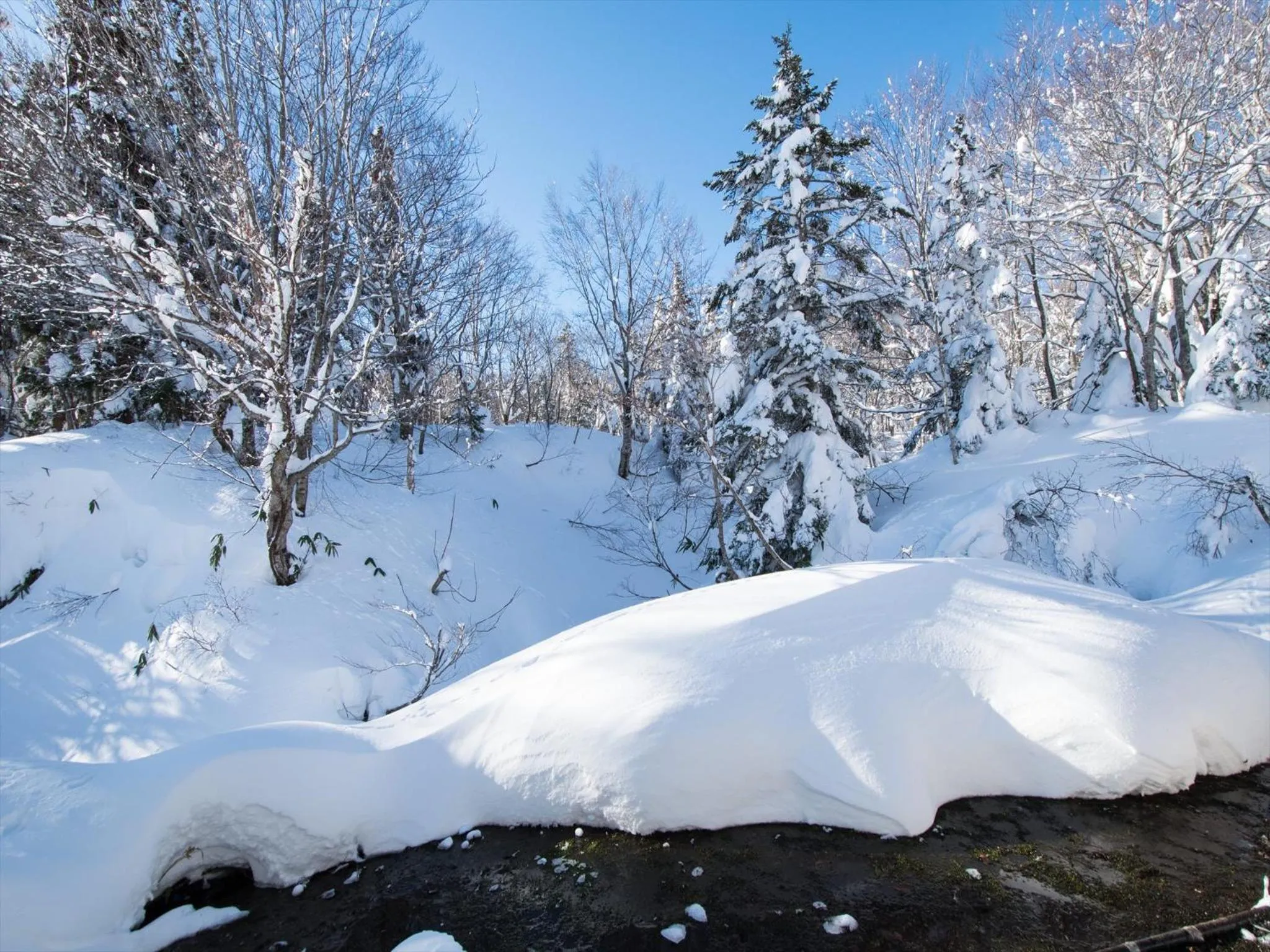 Property building in Yachi Onsen