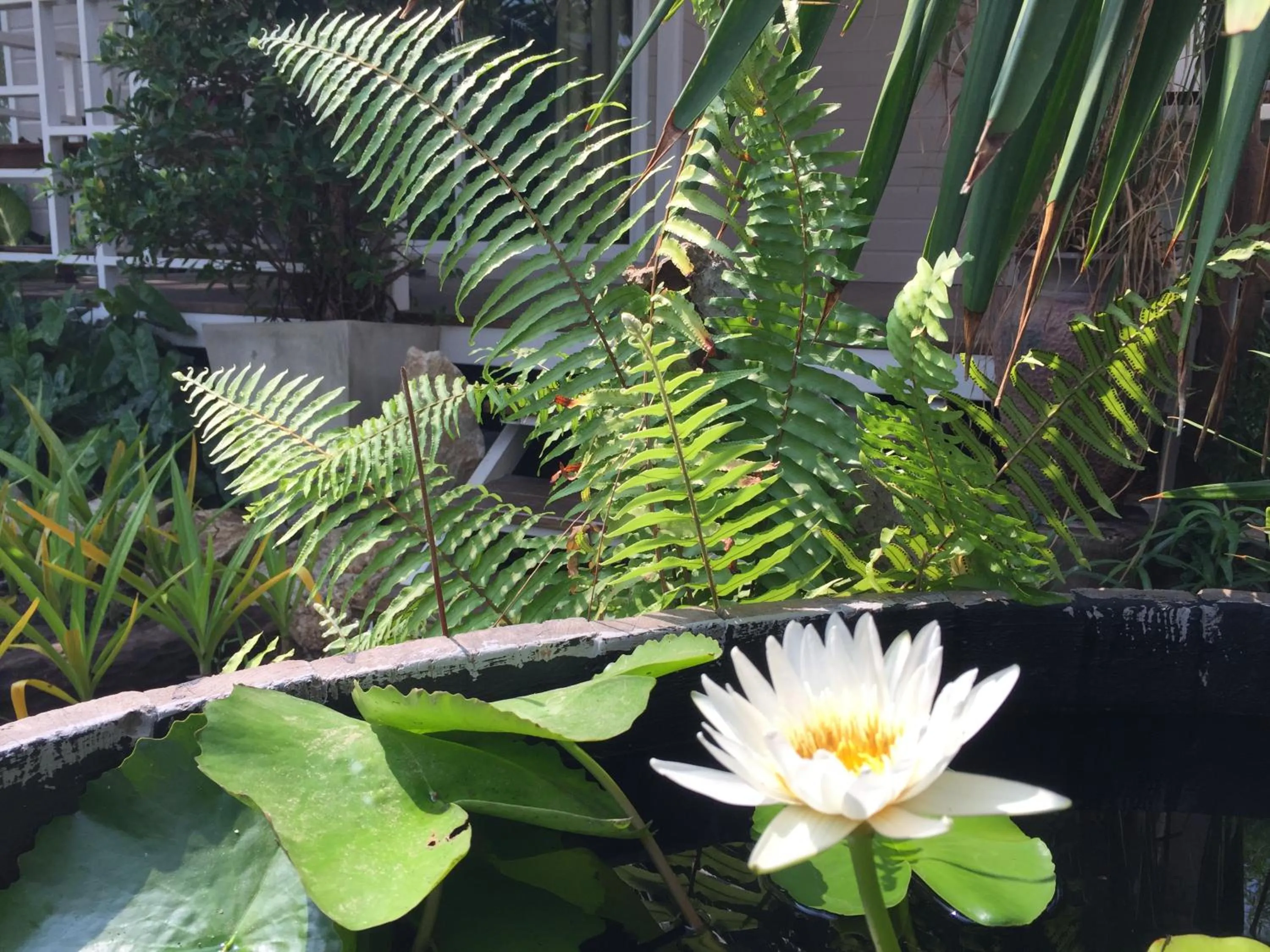 Garden in Rayonghouse Resort