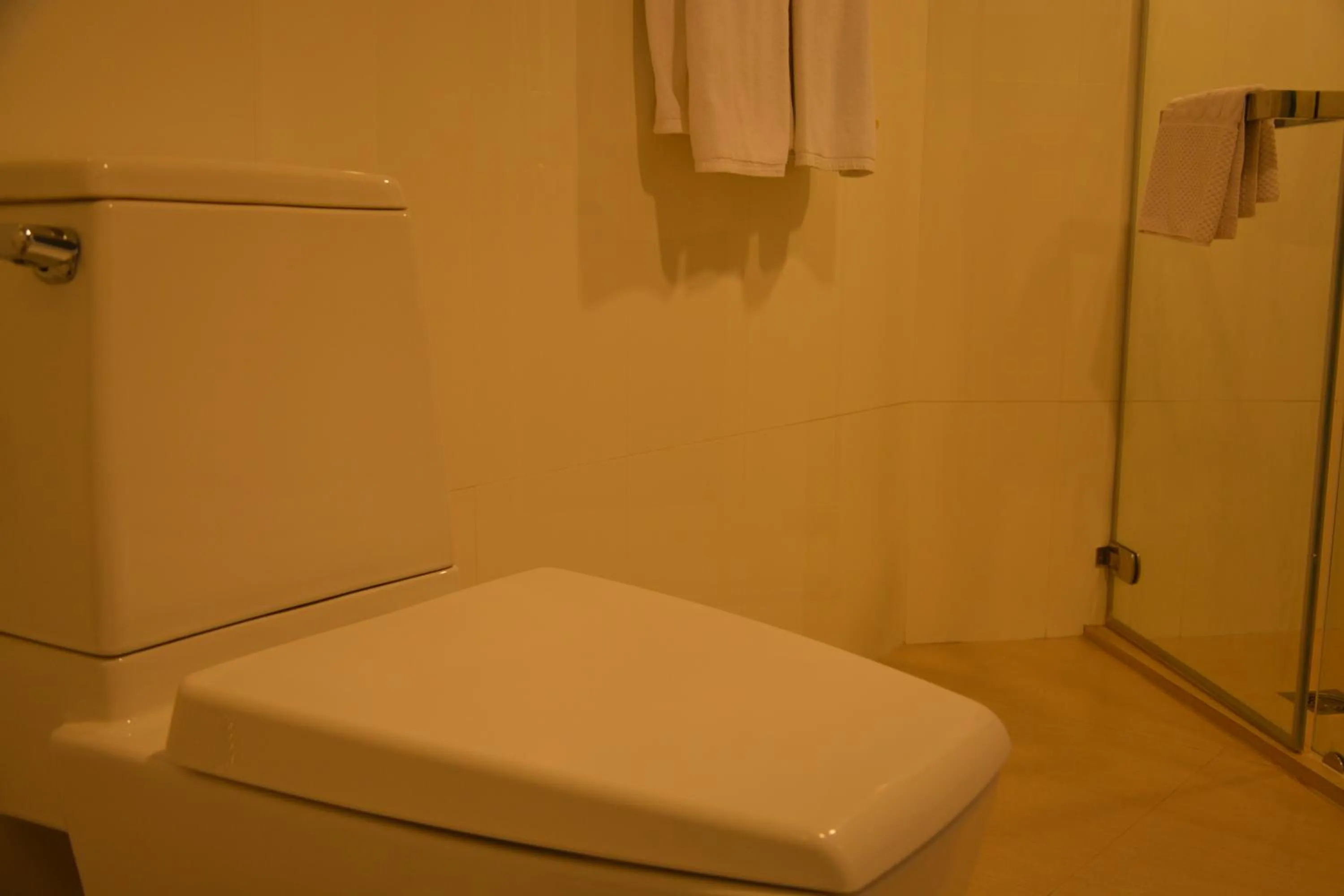 Shower in Sir James Resort