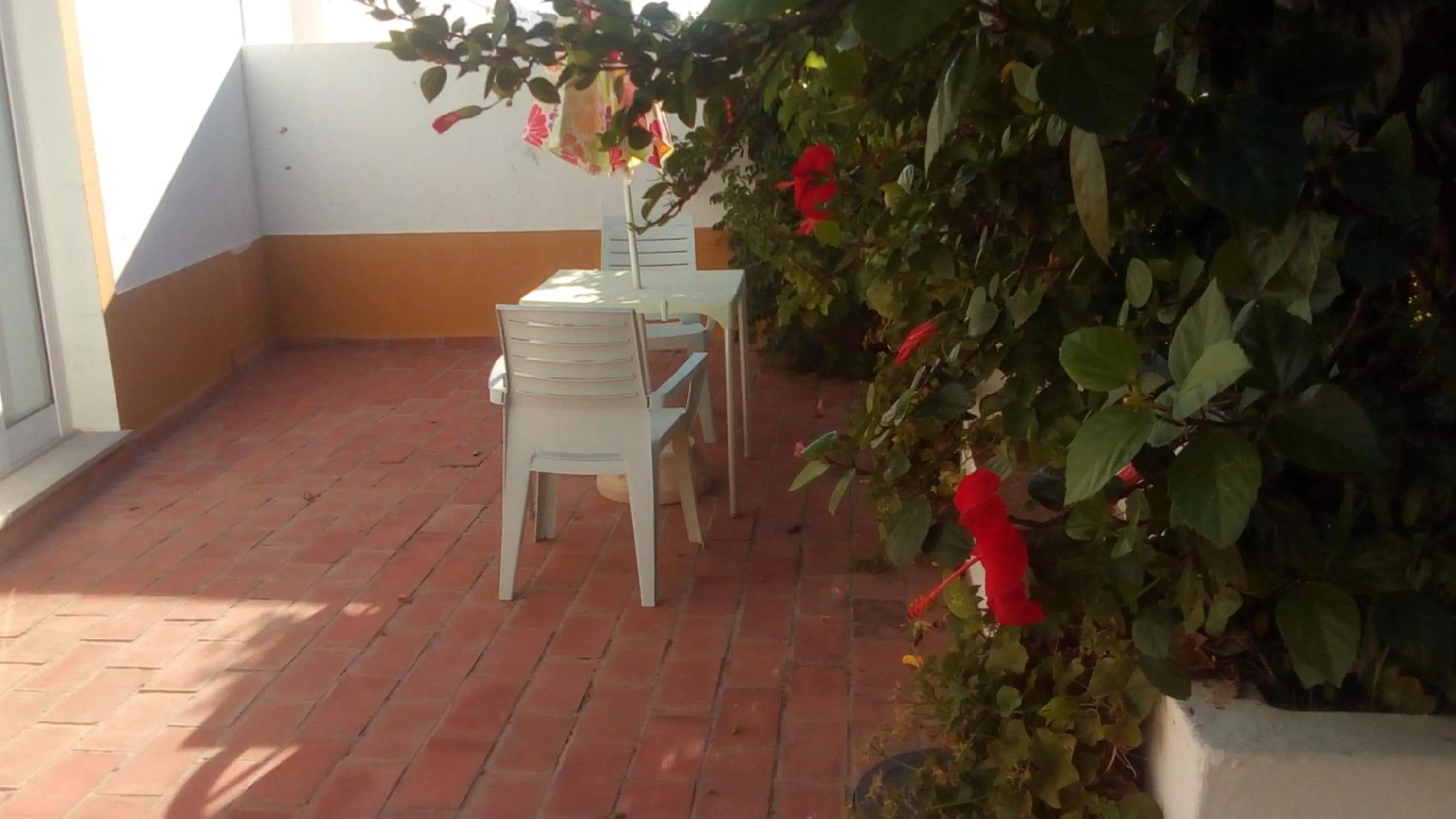 Casa da Osga